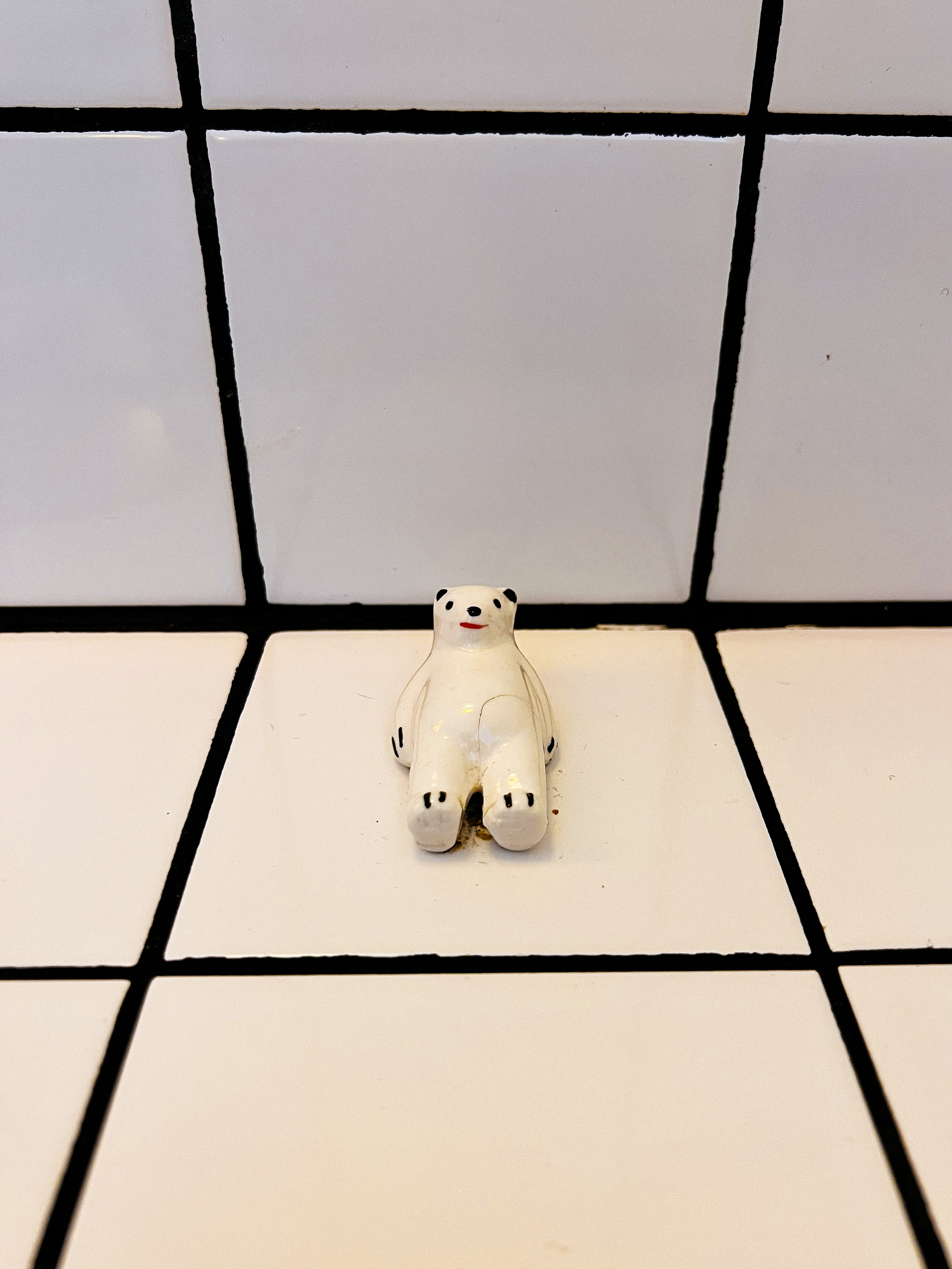 A toy white bear chilling on white tiles. Strange, but it is what it is. 