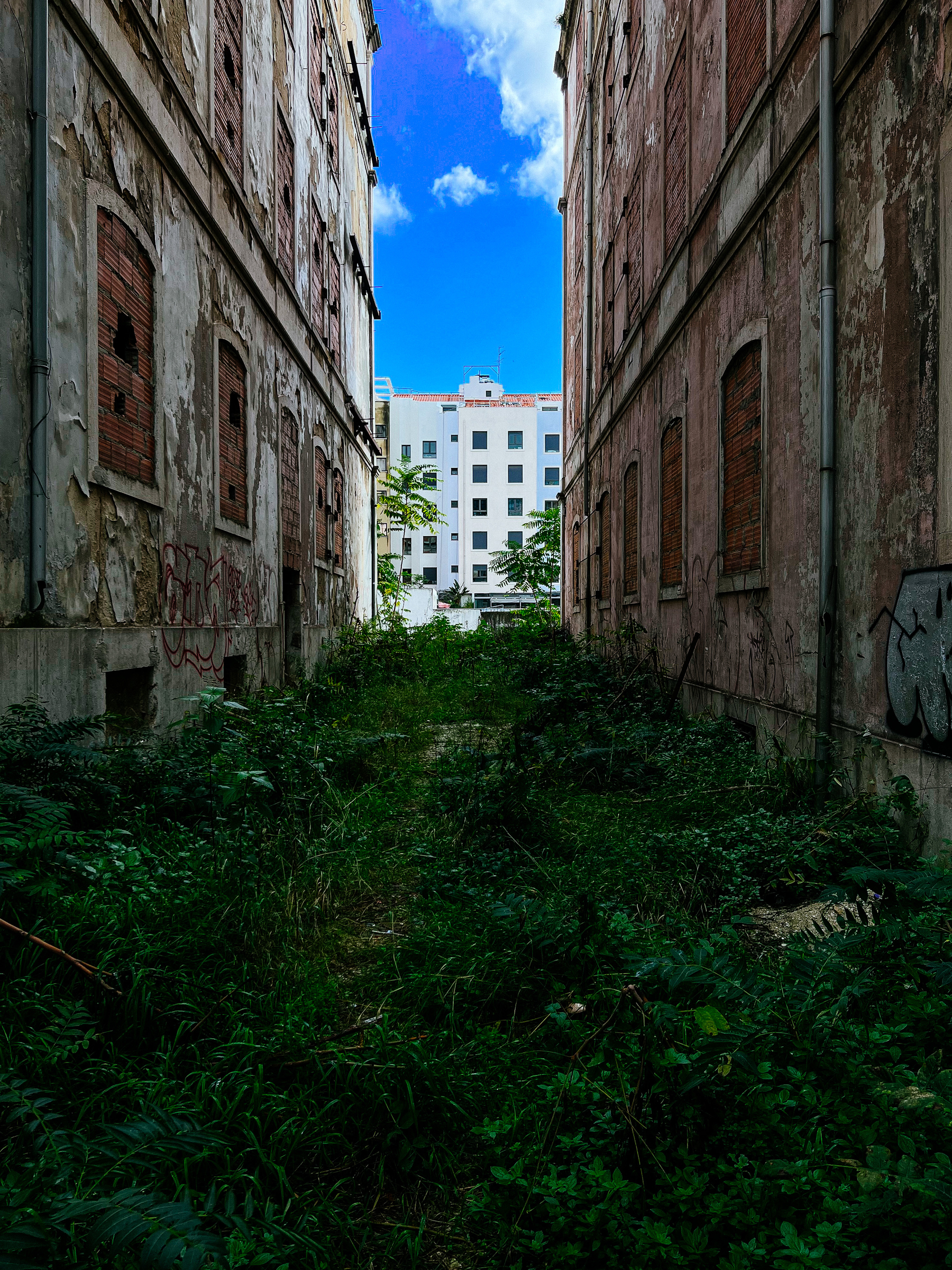 Looking out at some modern buildings, flanked by old derelict ones, with weeds growing in the middle 