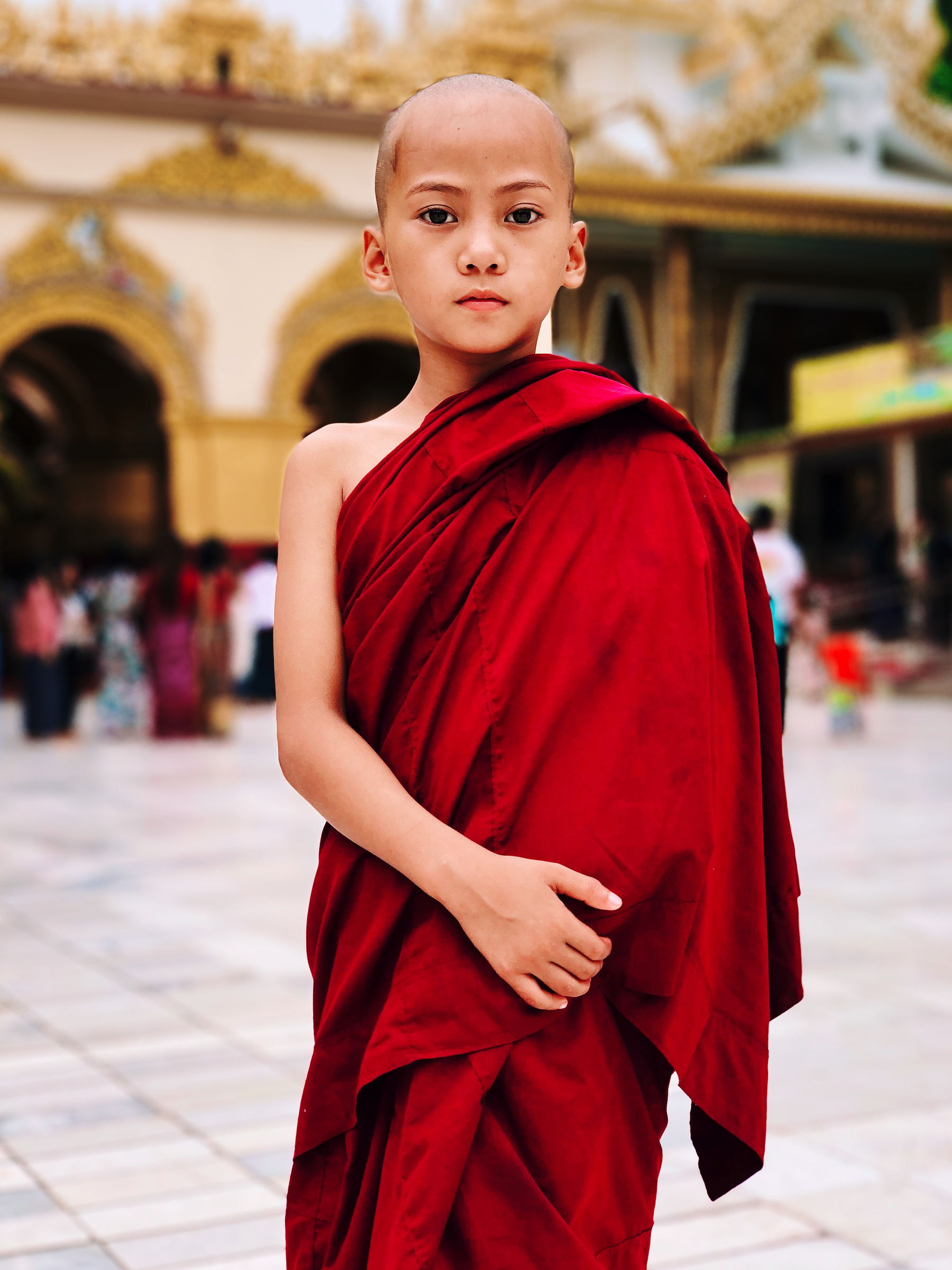 a boy monk looks seriously into the camera