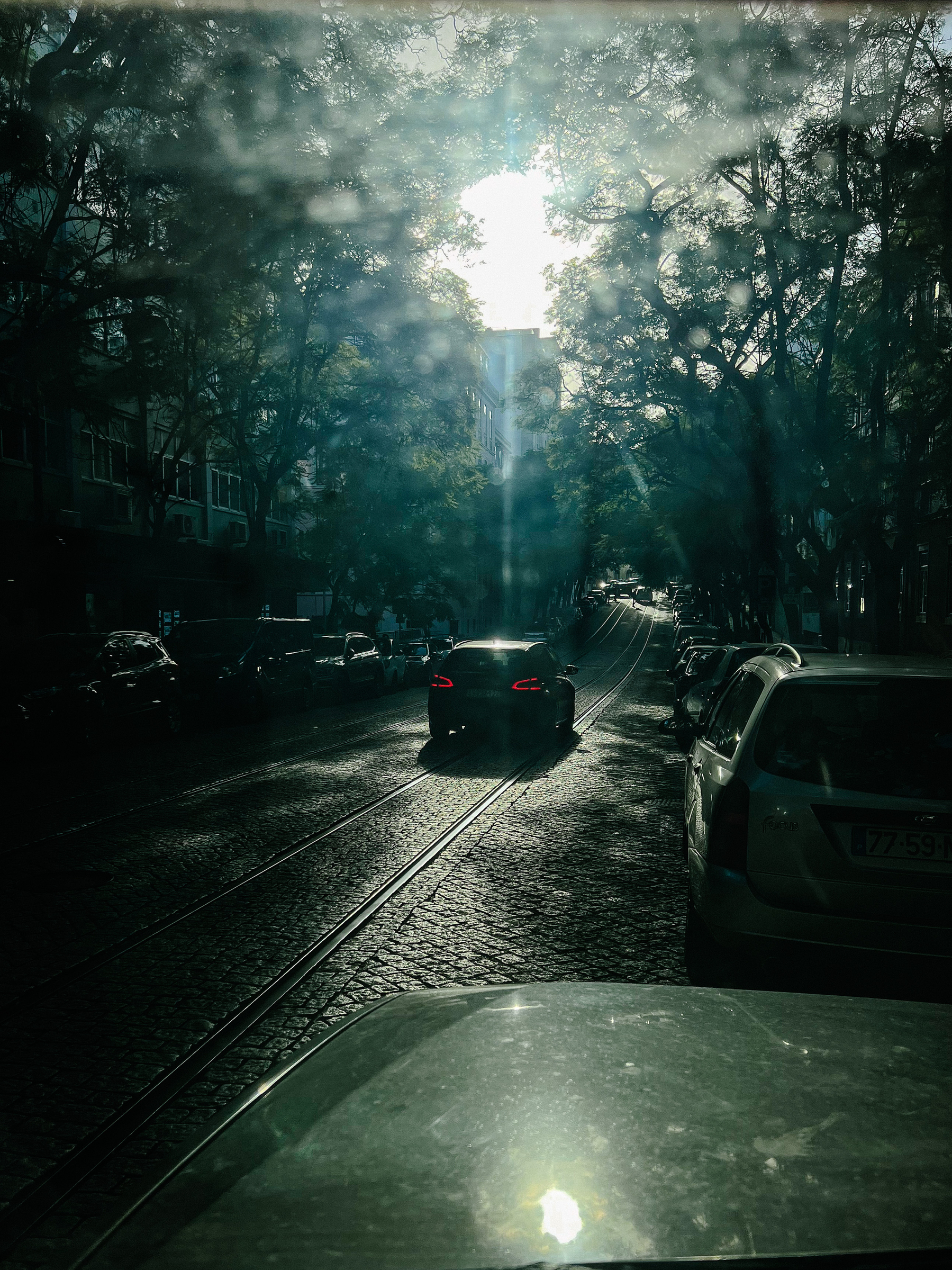 A car is seen driving on a tree lined street, tram tracks on the road. Winter morning light. Shot from inside a car. 