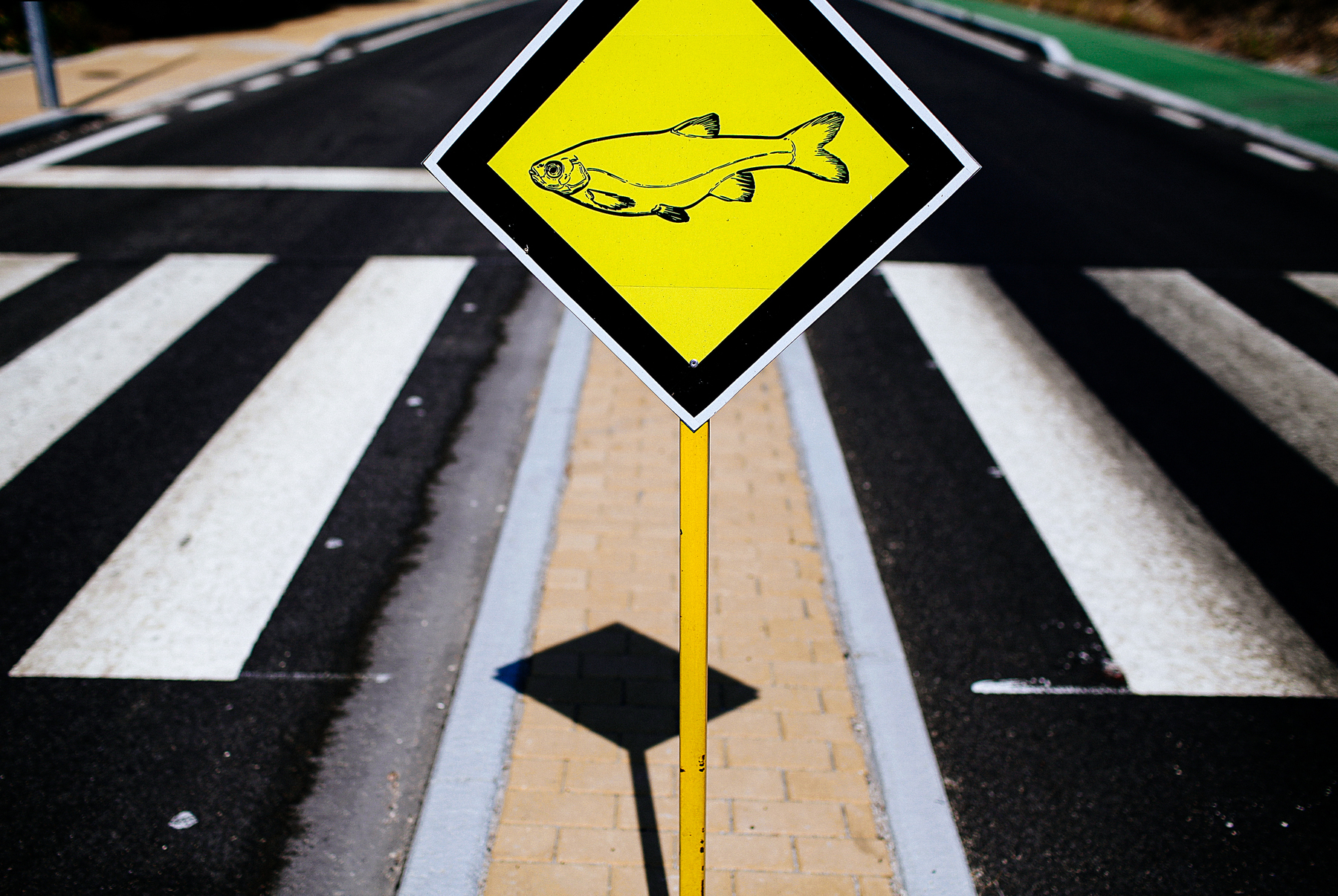A road sign warns drivers that fish might be ahead. Yes, I know it sounds strange, but it really is a photo of a sign, on a road, with a fish on it.