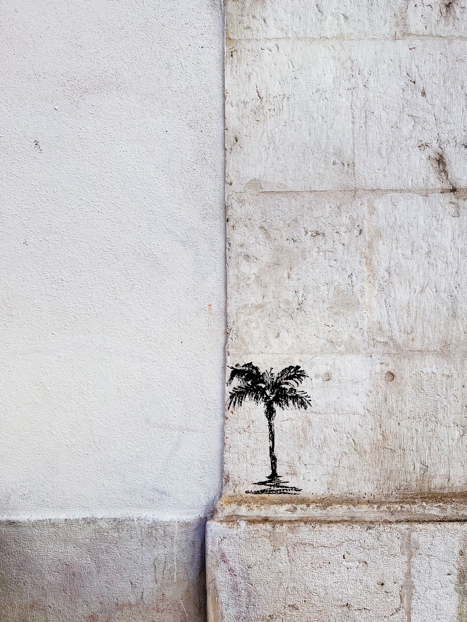 A small palm tree drawing on a wall. Black on white. 