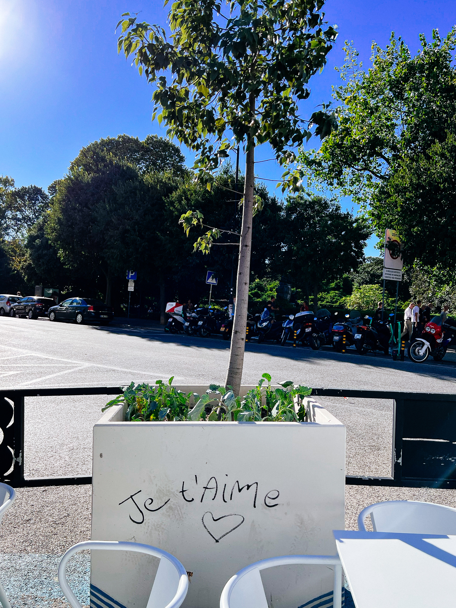 a potted plant in the city. Written on the pot: Je t’aime.