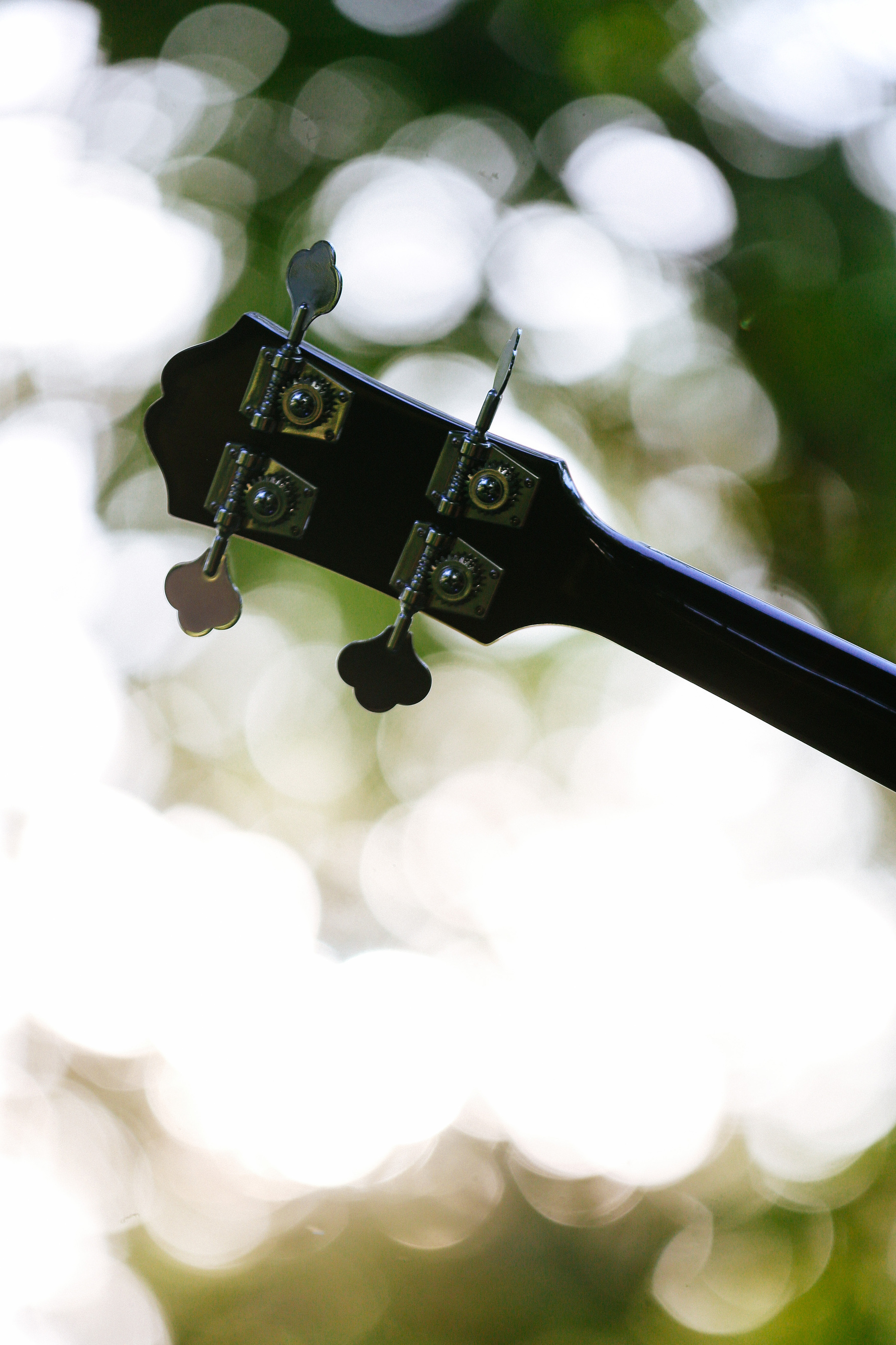 A bass with bokeh