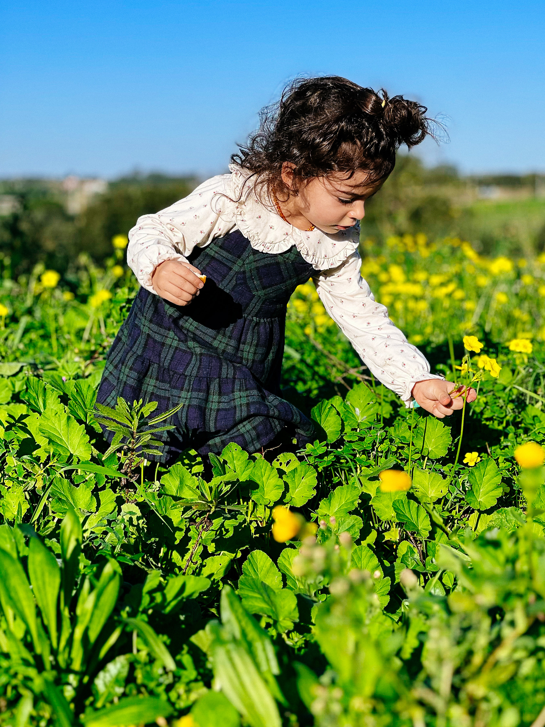A girl picks flowers in a field of green 
