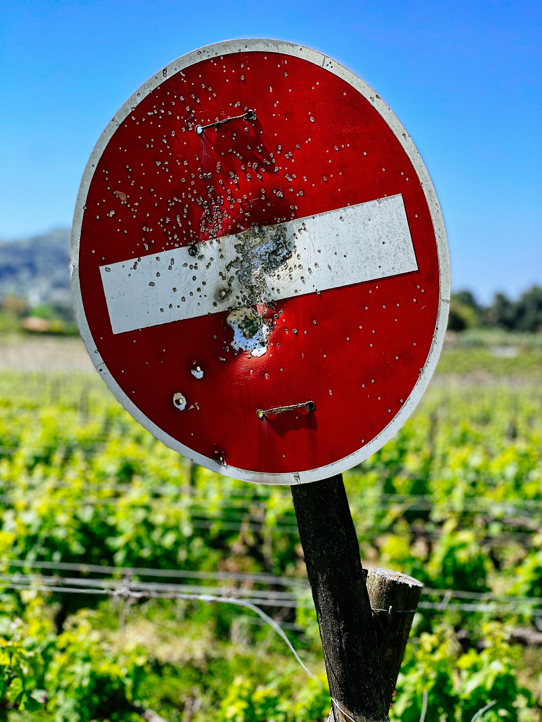 photo shows a traffic sign with multiple bullet holes on it.
