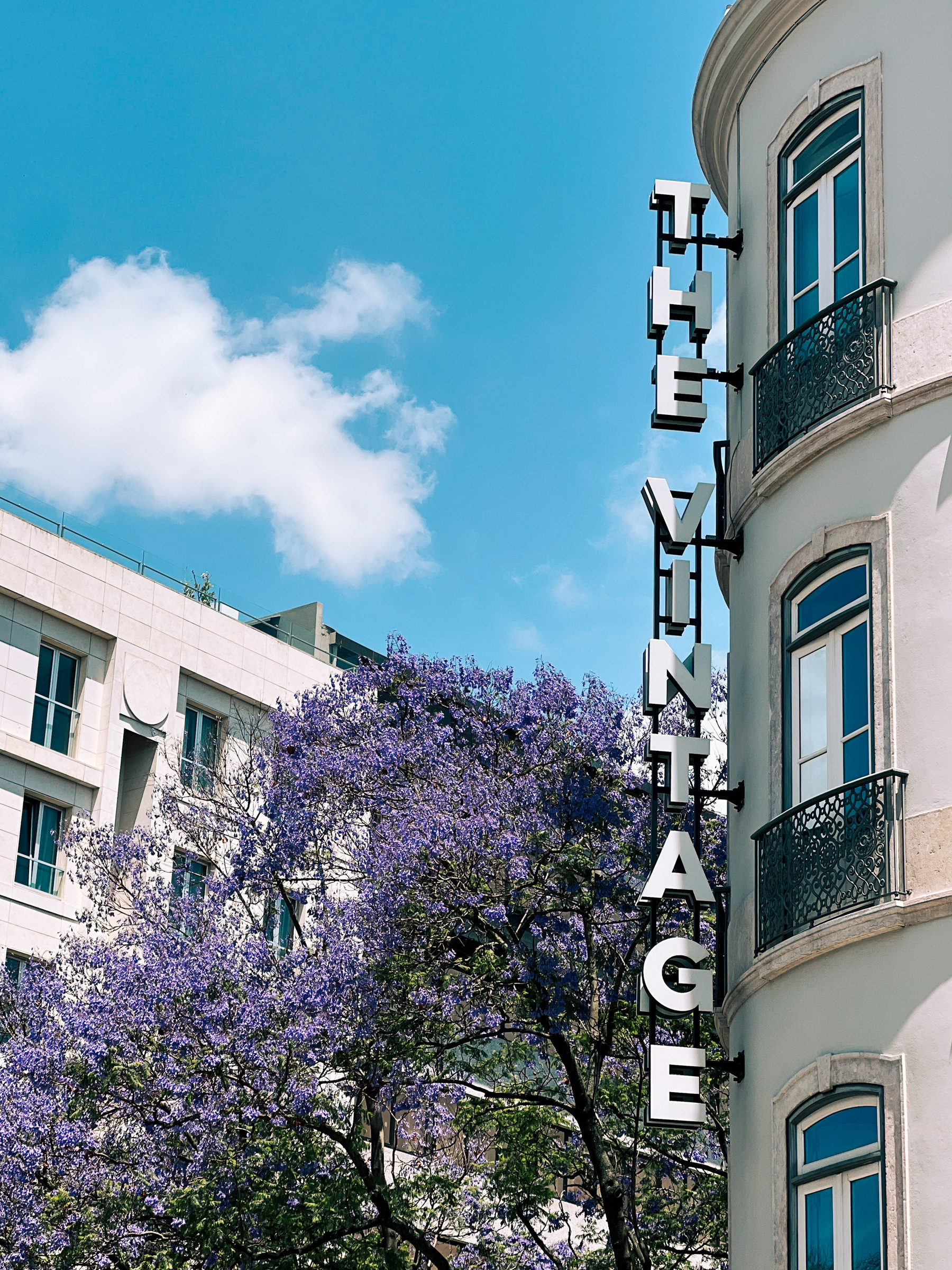 A jacaranda tree next to a building, with “The Vintage” on the side. 