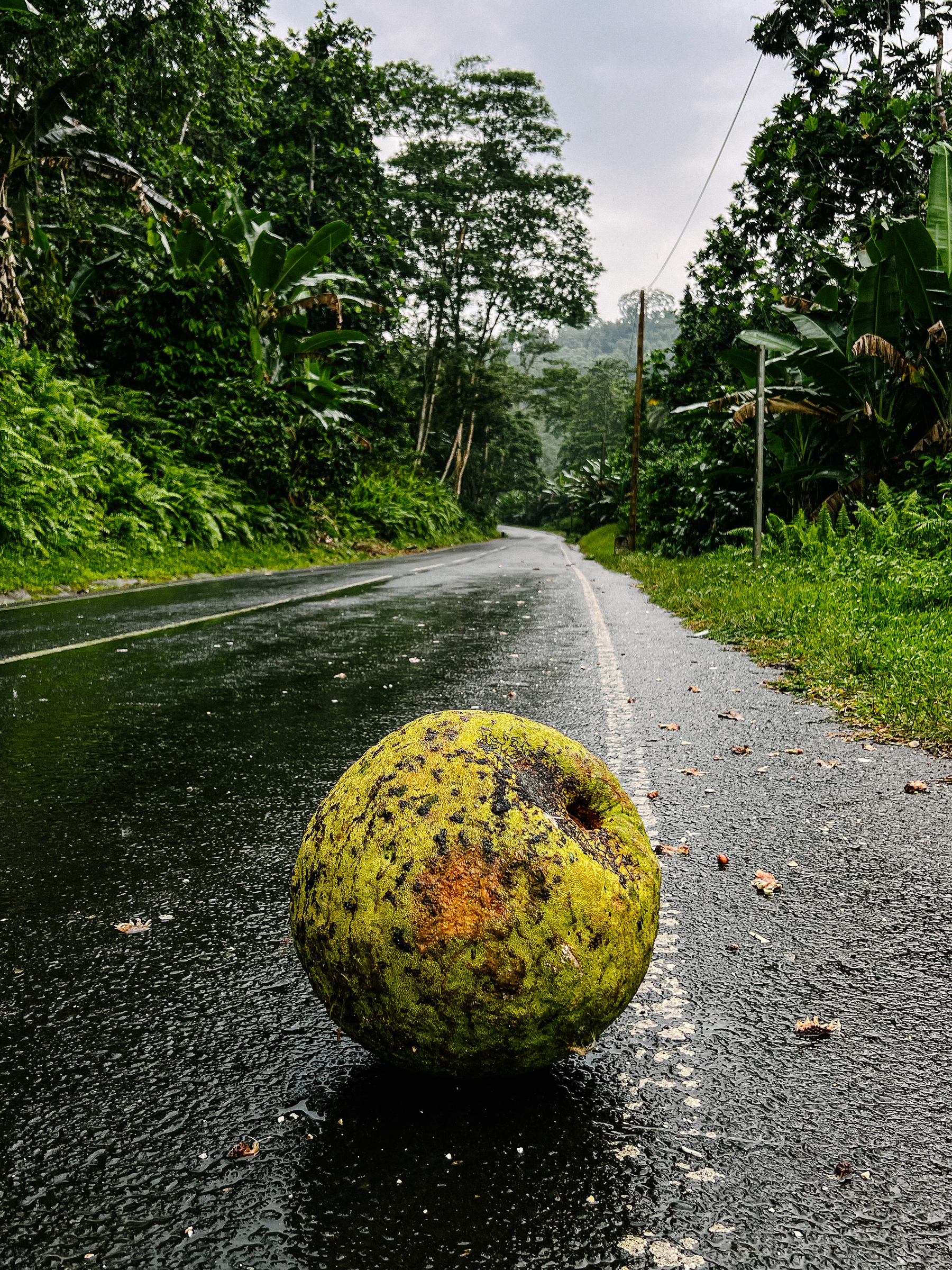 A piece of fruit on the road. 