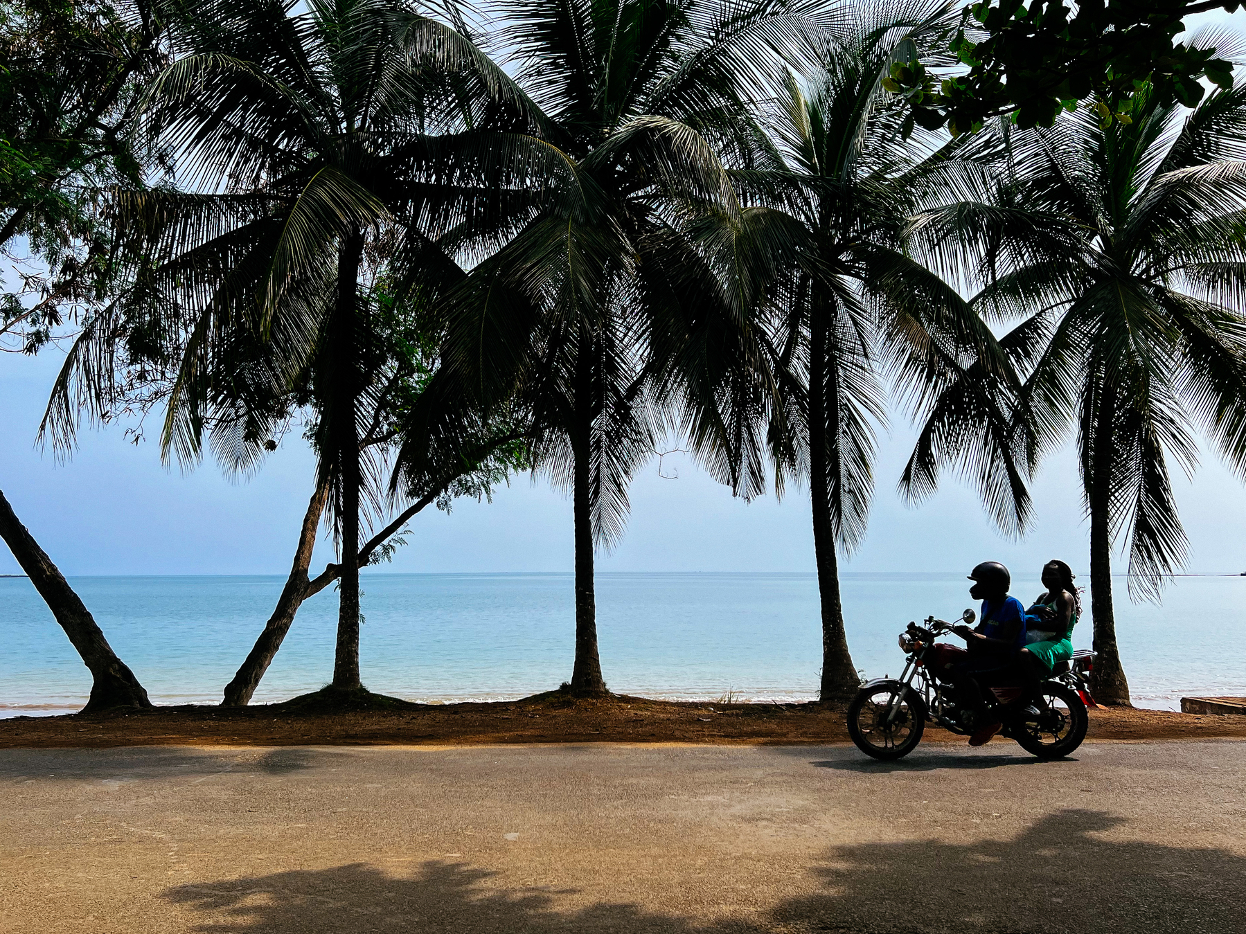A motorcycle rides close to the sea. Palm trees line the beach. 