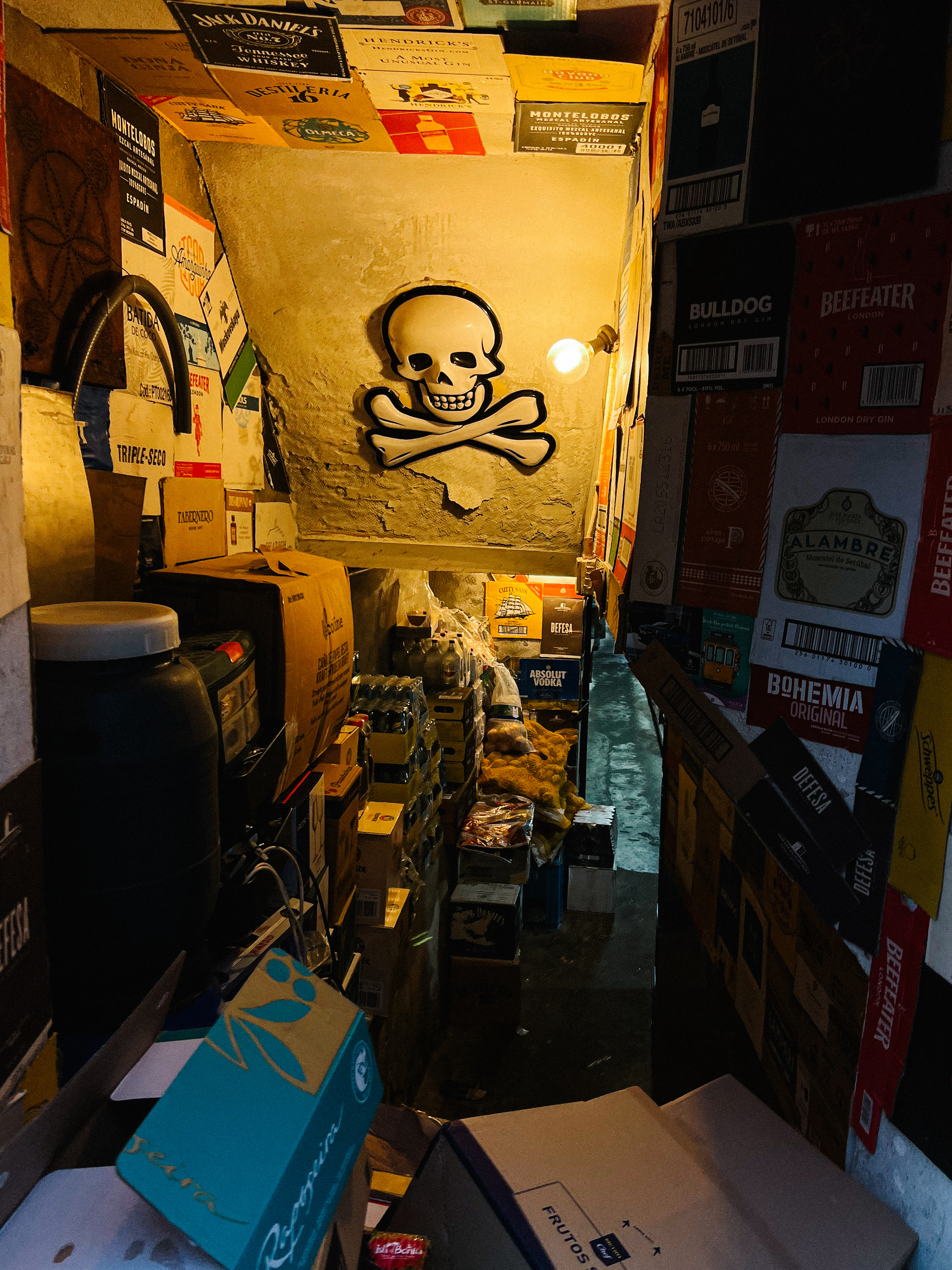 A skull and bones in a storage room, a very messy one. 