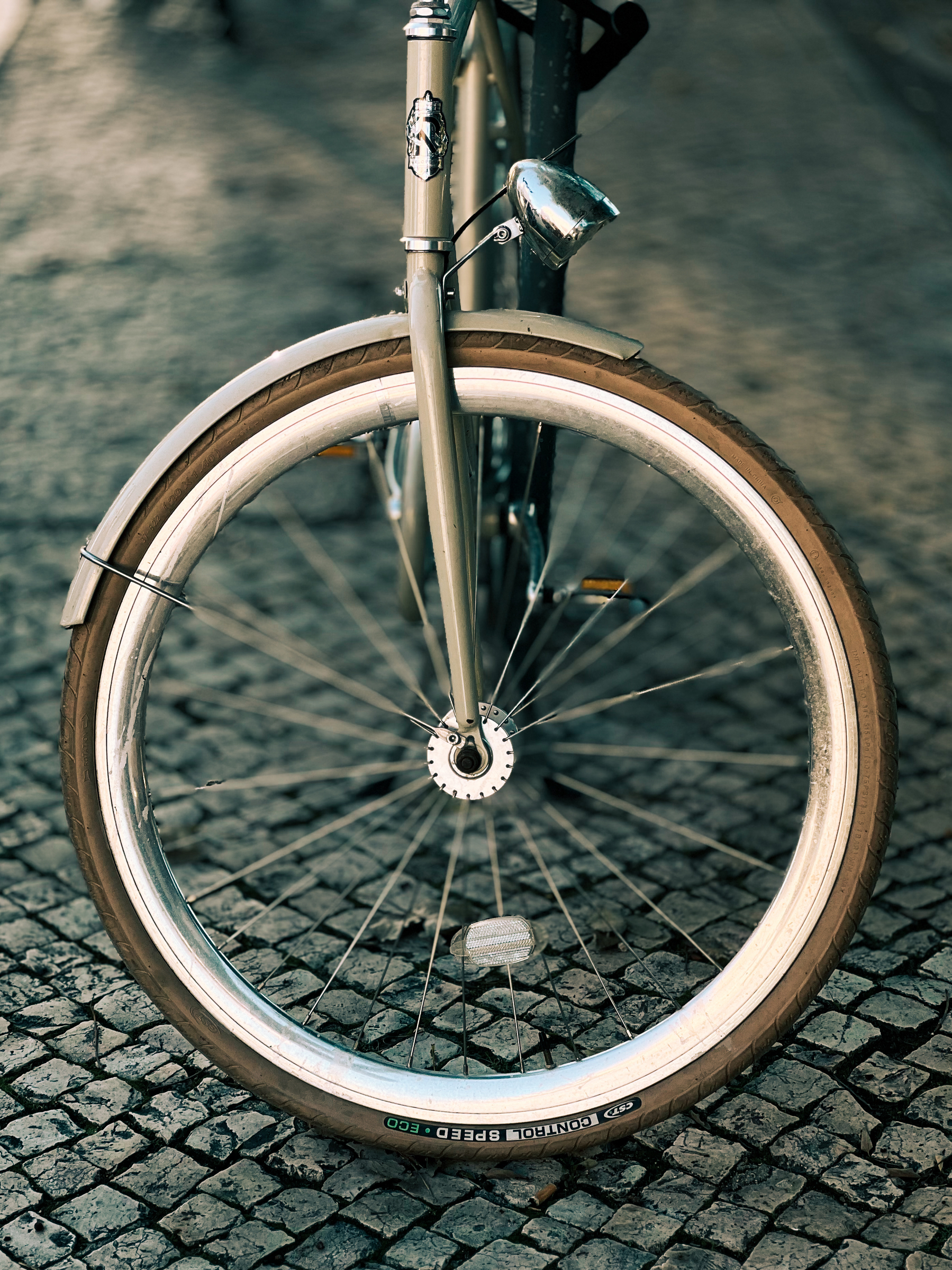A bicycle front wheel. 
