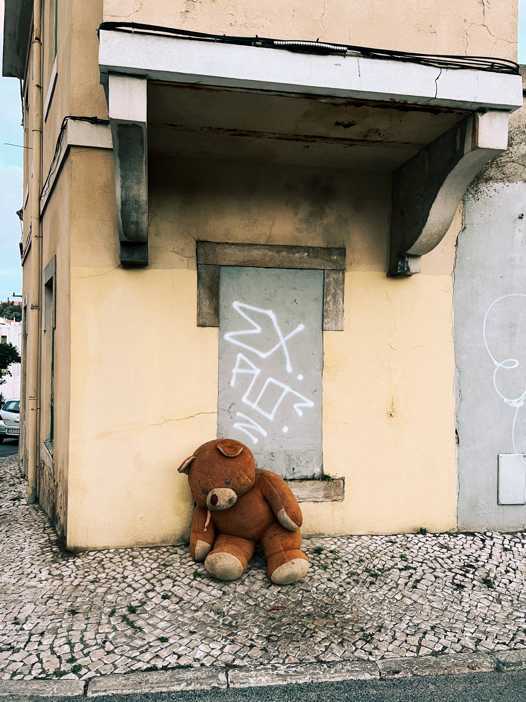 An abandoned teddy bear.