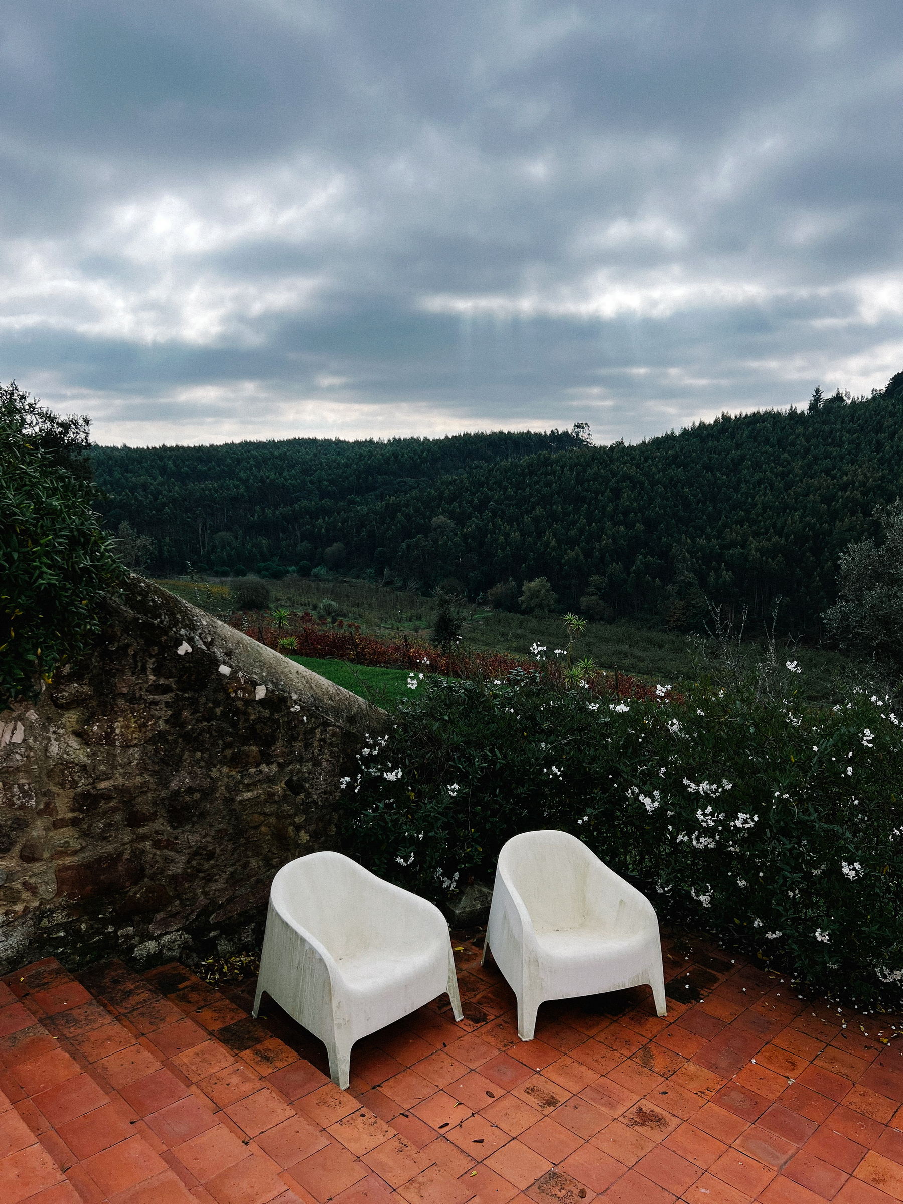 Two chairs overlooking a vineyard. 