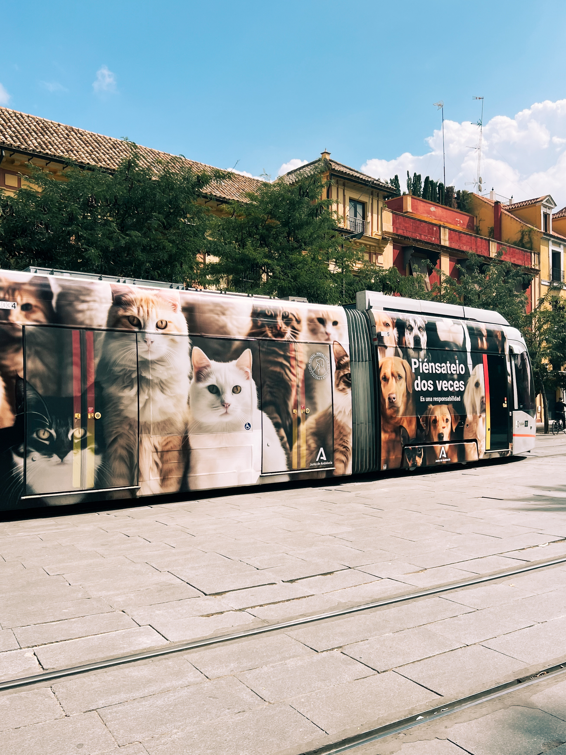 A tram goes by, covered with cat’s photos. 