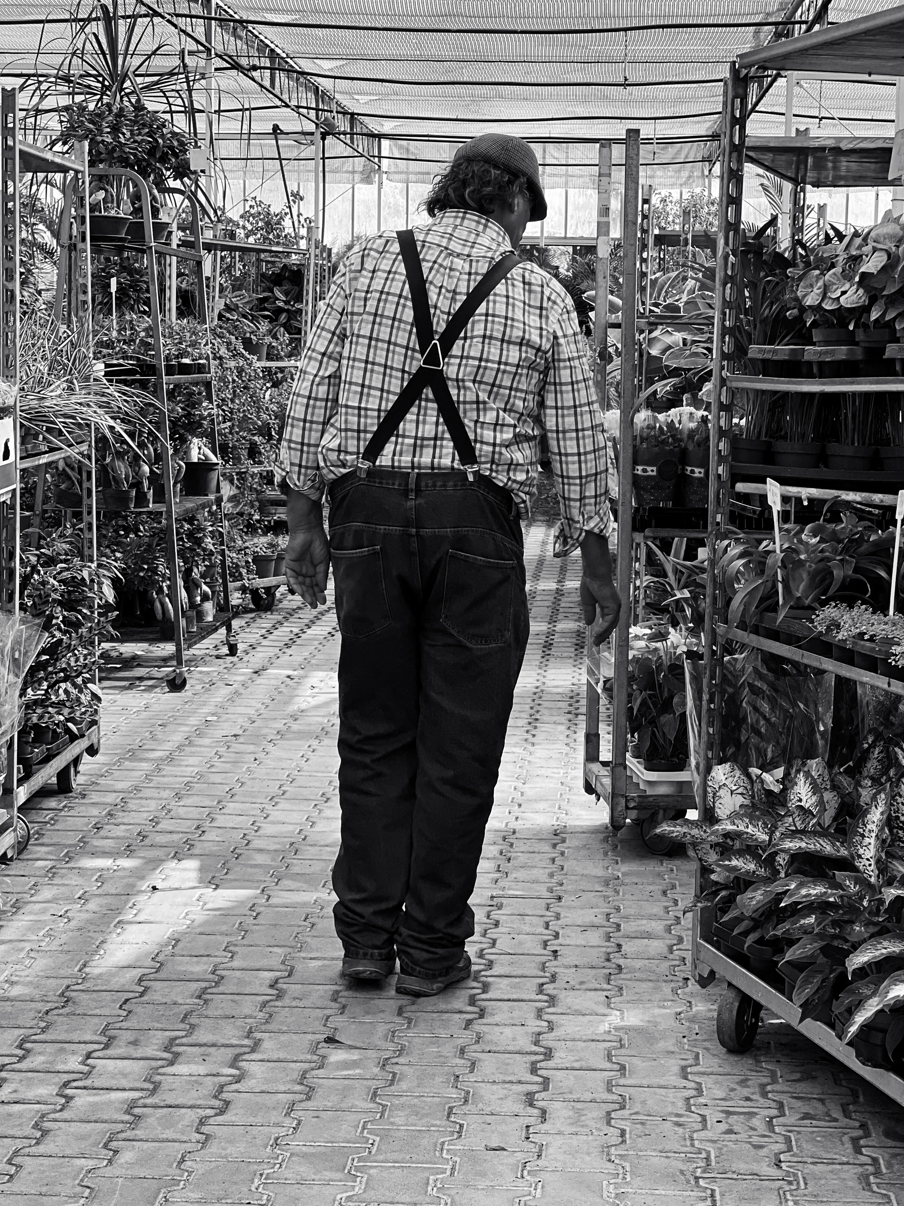 Black and white photo of a man in the middle of plants. 