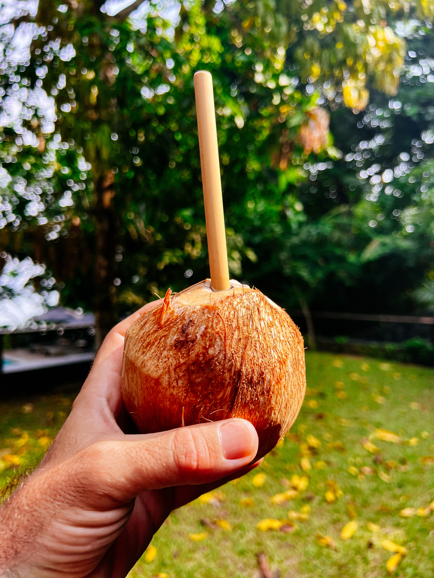 A coconut with a straw. 