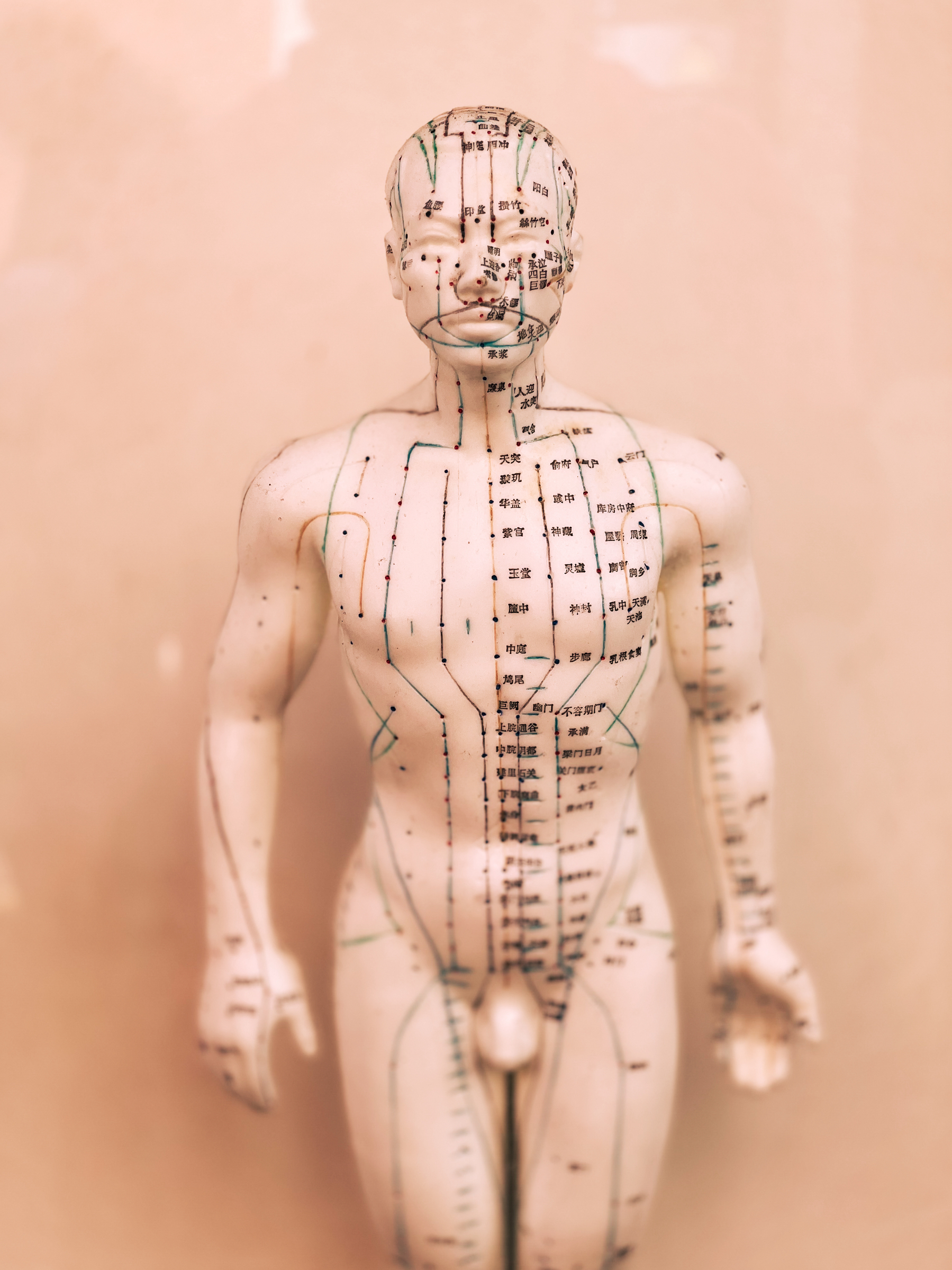 A Chinese medicine human figure. 