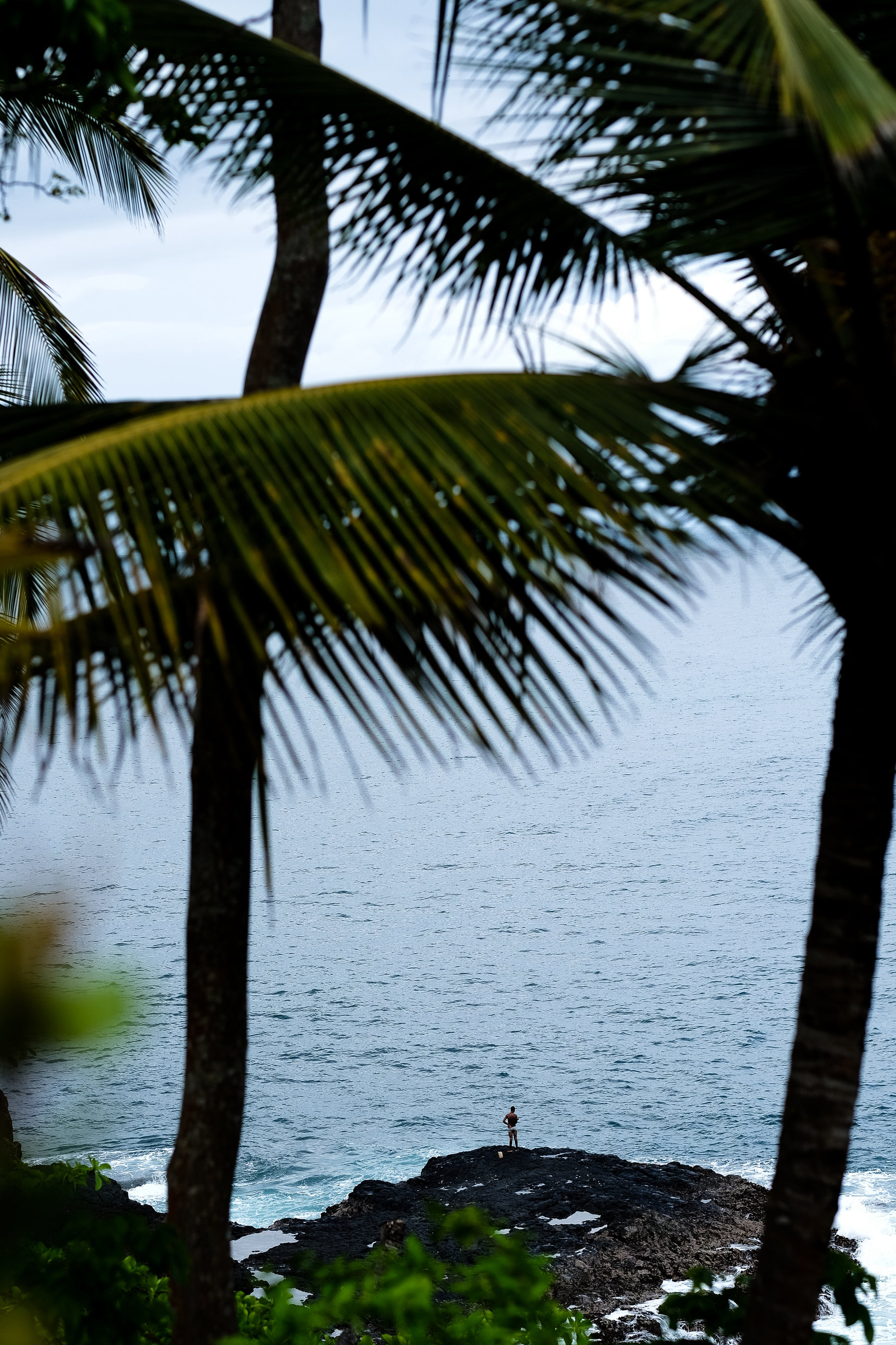 A man stands at the edge of an island, looking out into the sea. Palm trees around the frame. 