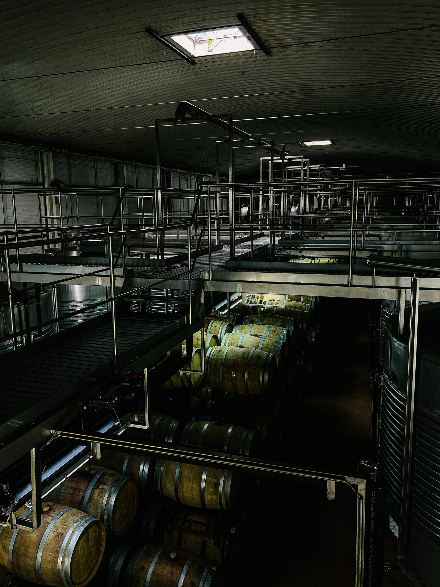 View of a winery cellar. 