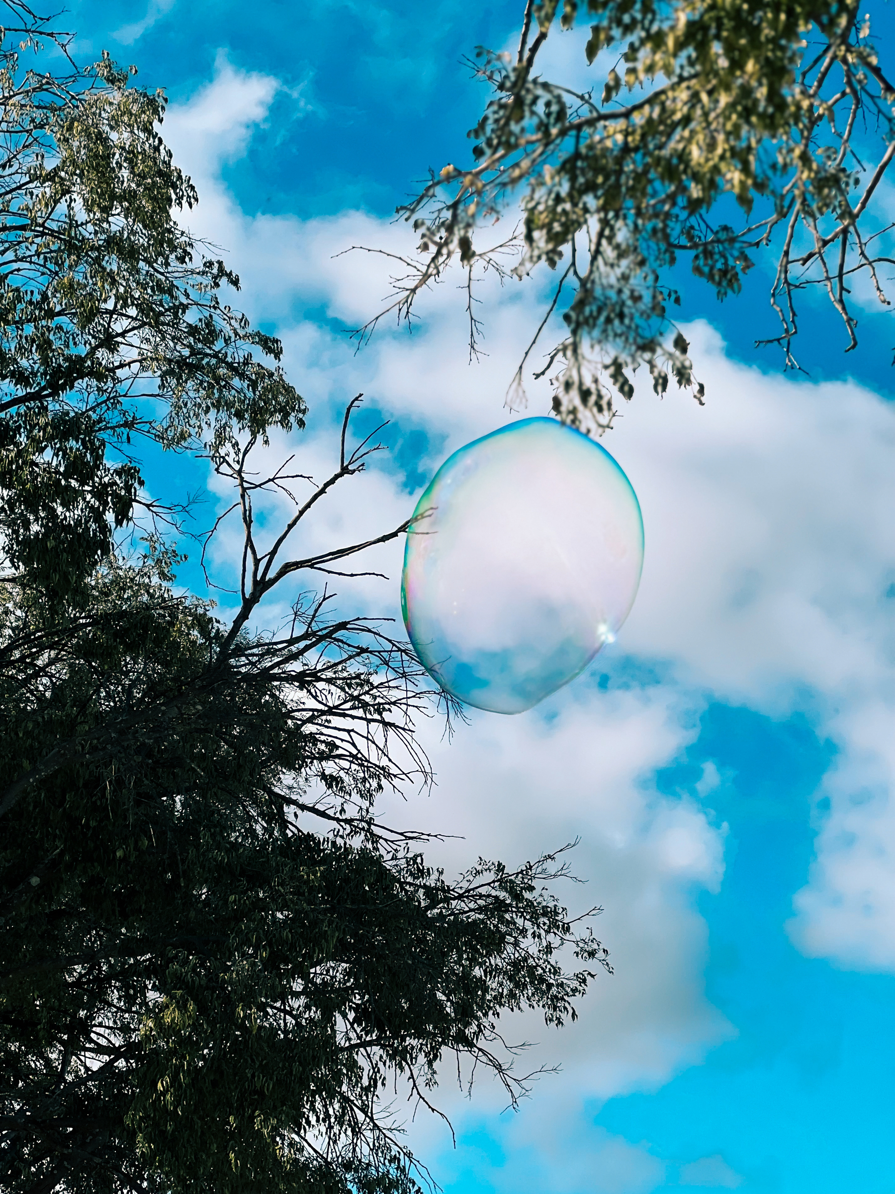 Soap bubble flying through the air.