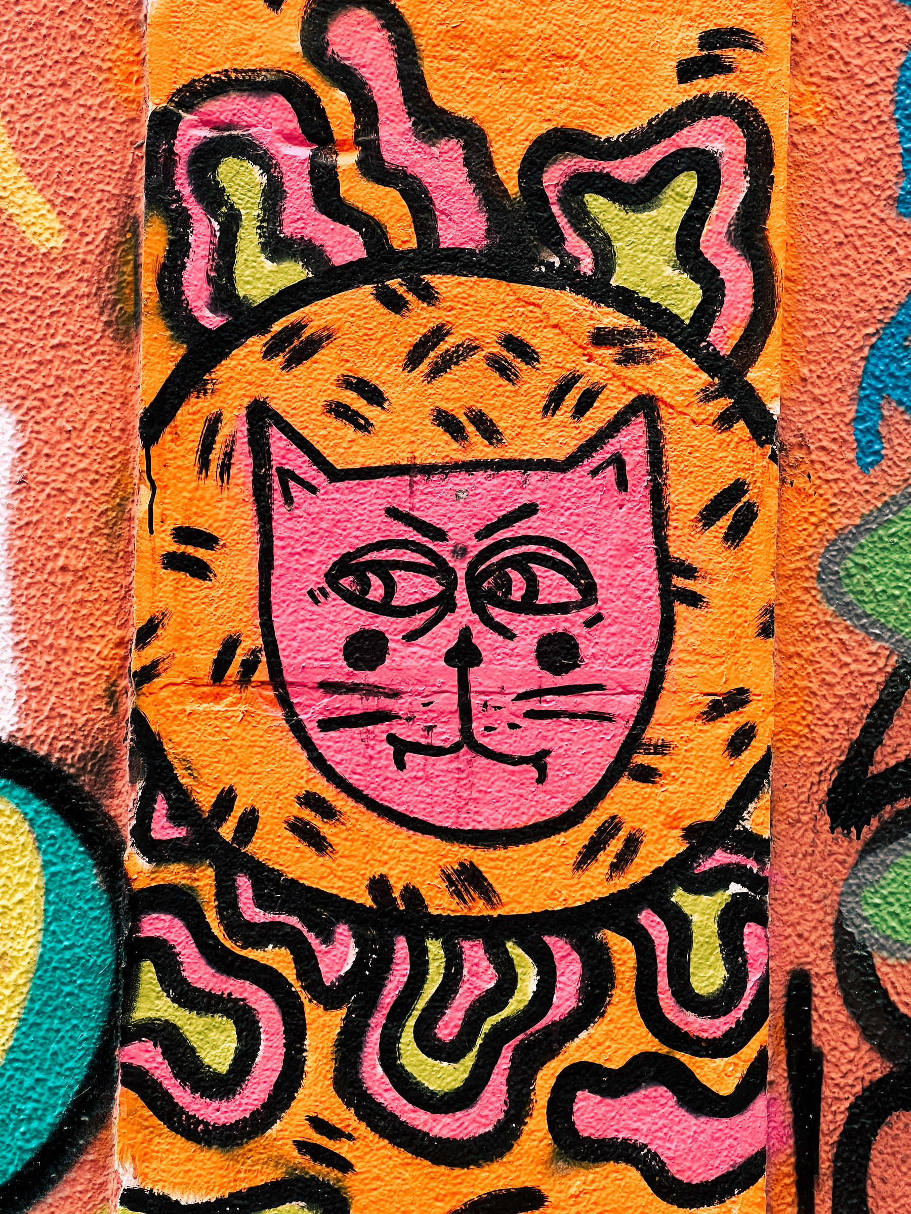Graffiti, a cat. 