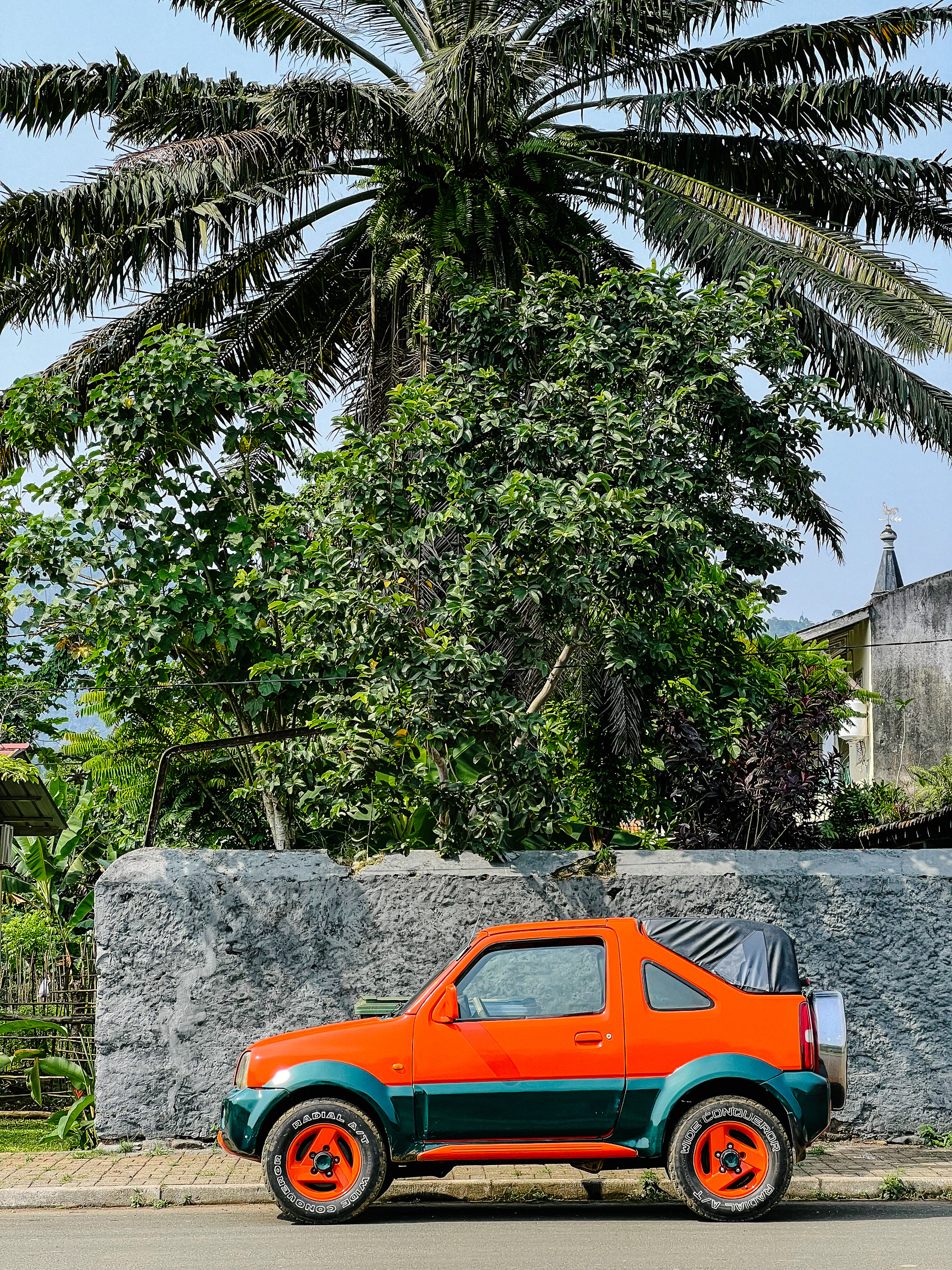 An orange jeep in front of a huge palm tree. 