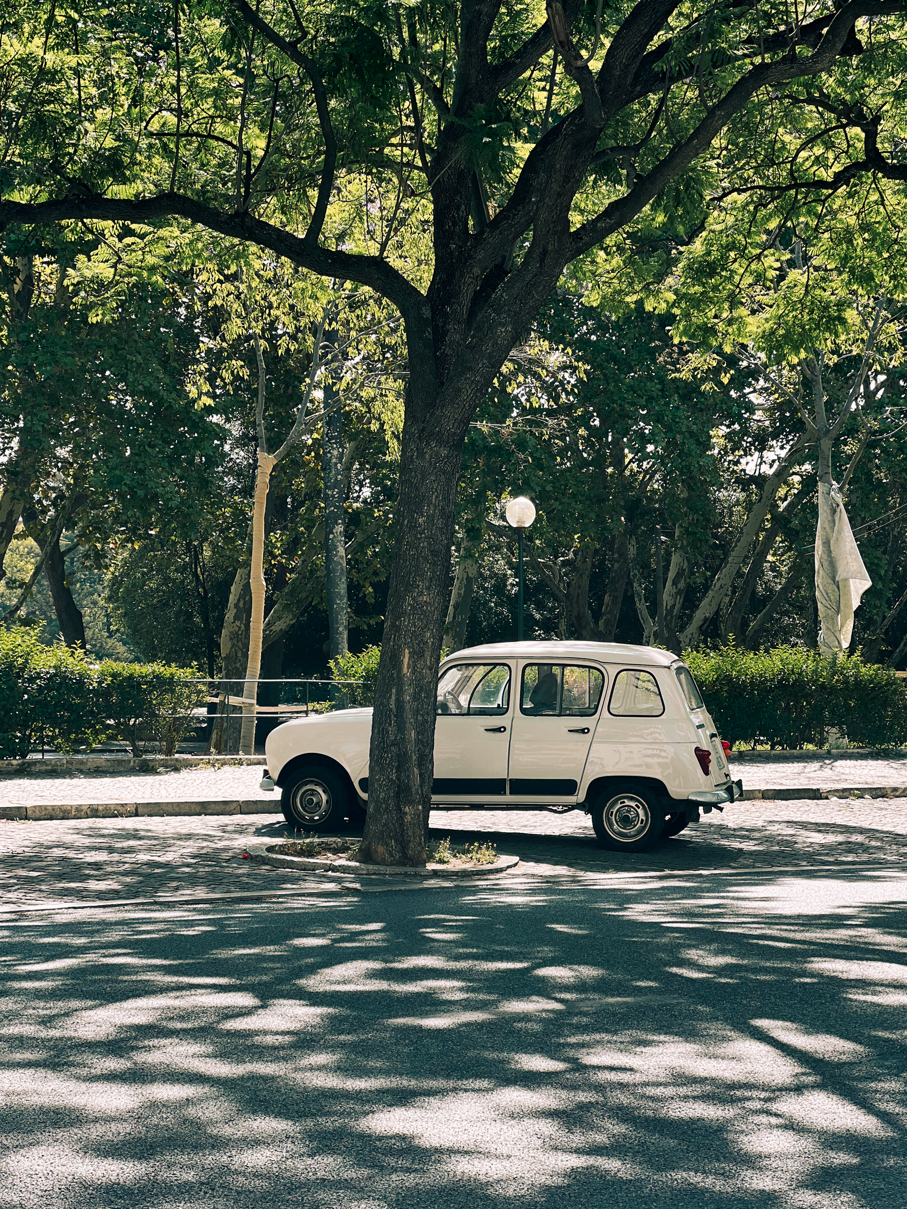 a Renault 4 parked under a tree.