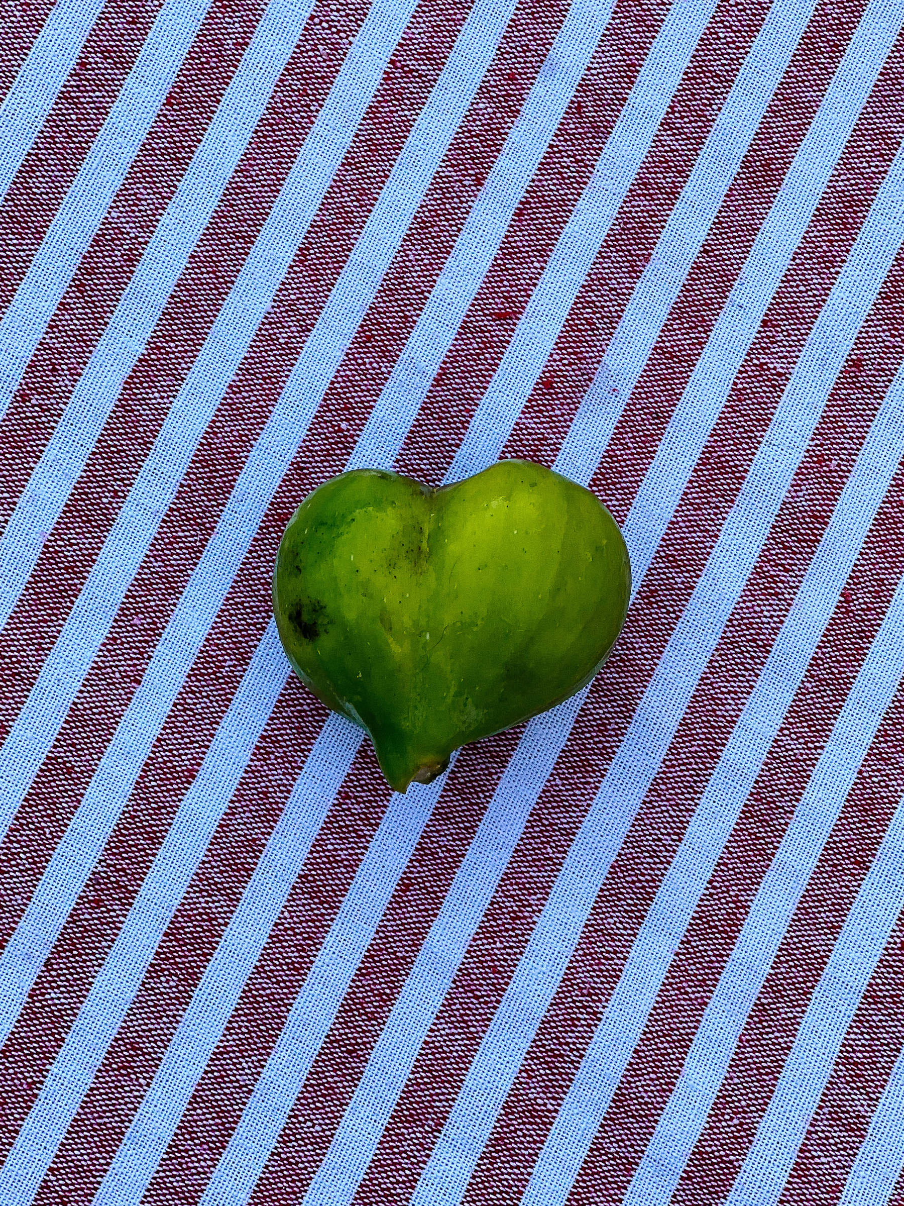 A fig that looks like a heart. 