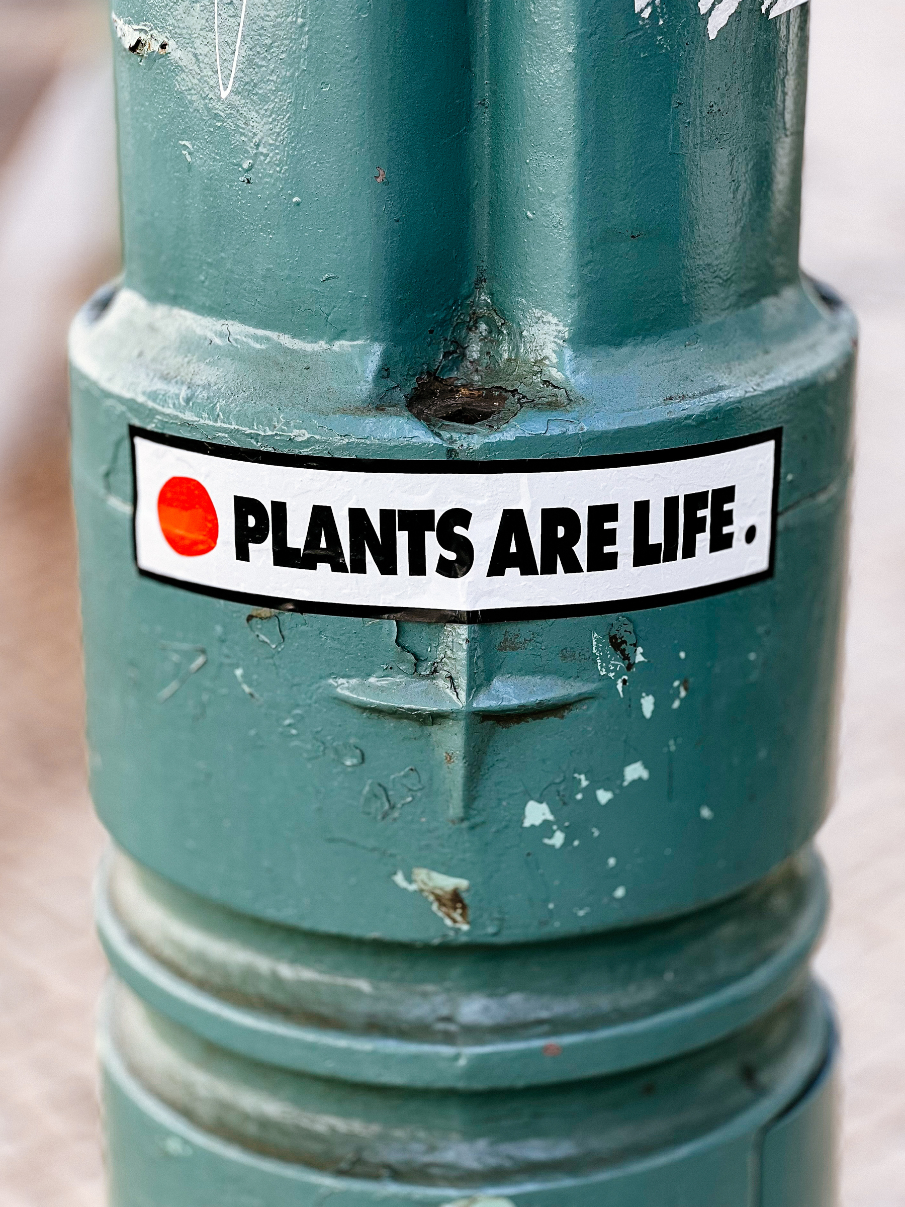 “Plants are life” sticker. Also, just beneath that, the lamp looks like the Orion browser logo. 