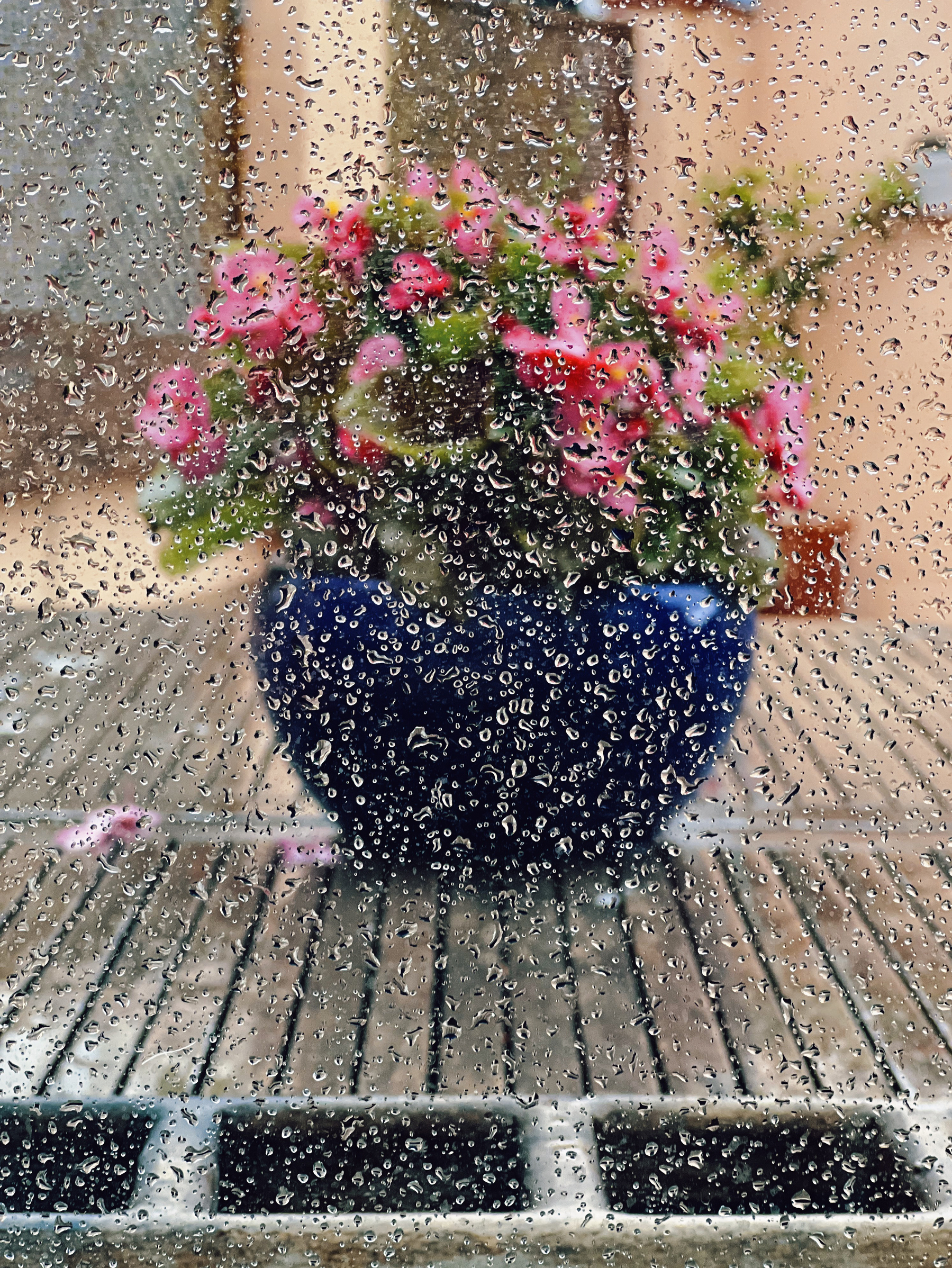 Raindrops in a window, flowers on the background. 