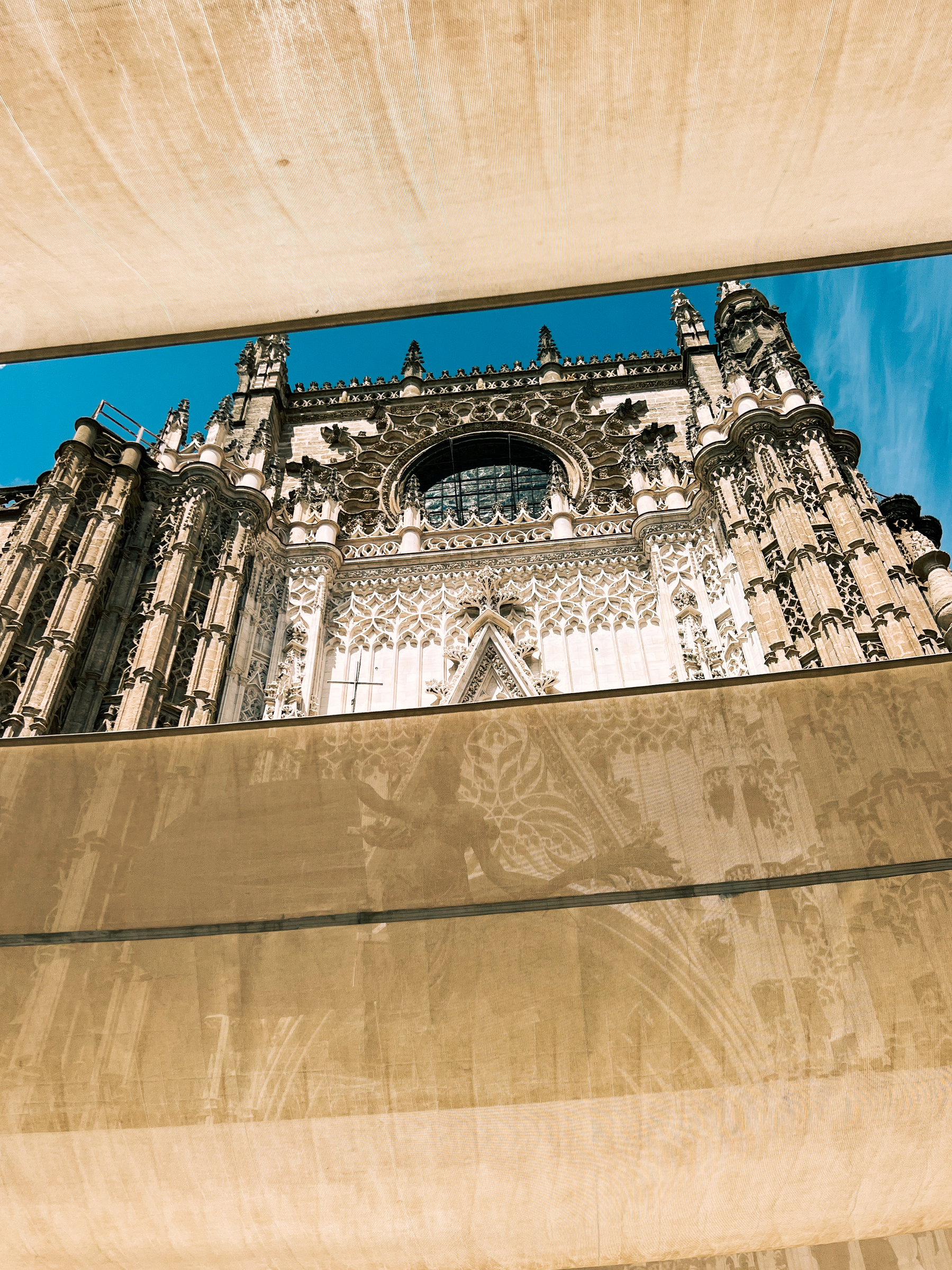 Sevilla cathedral shot from below. 