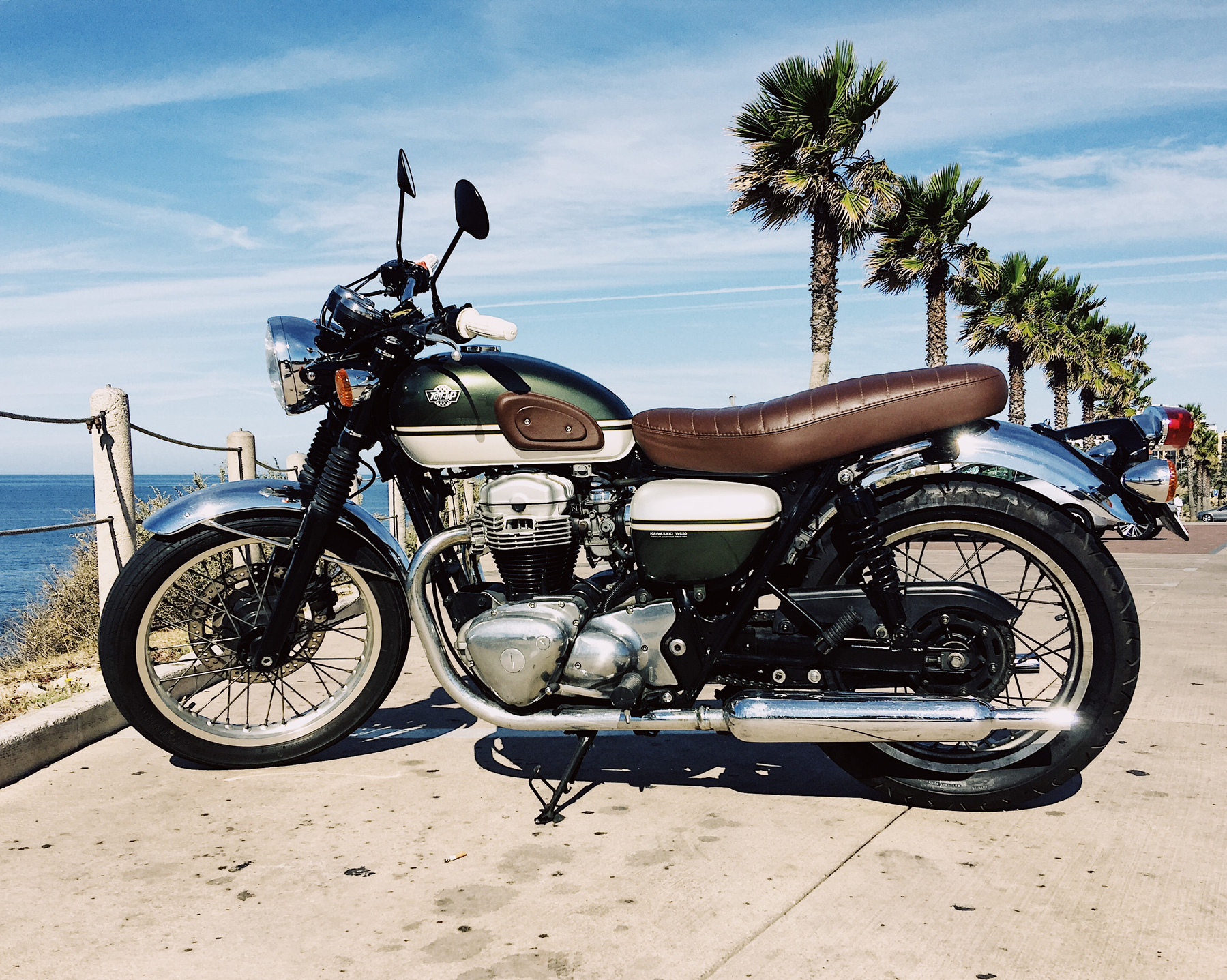 a motorcycle, parked close to a few palm trees.