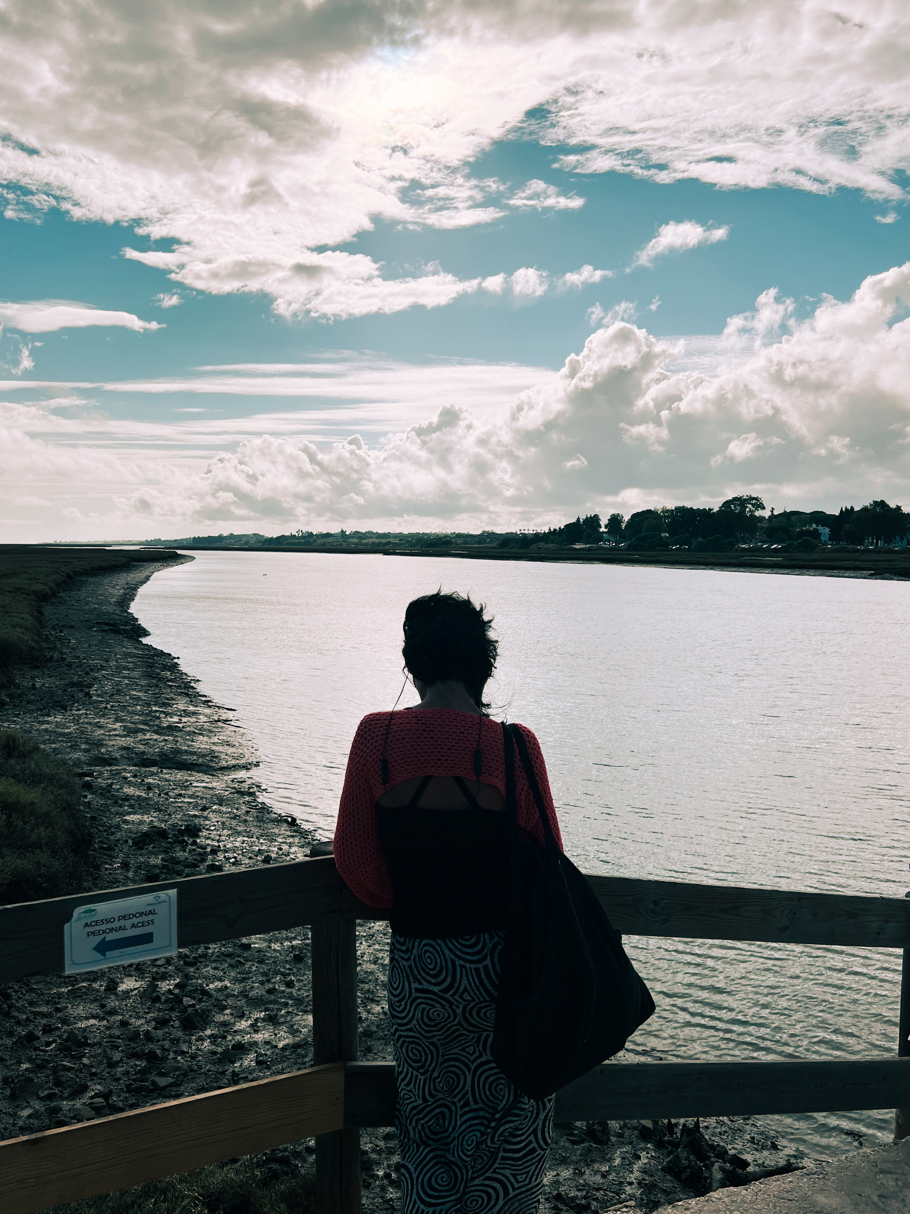 A woman looks at the river, cloudy sky above. 