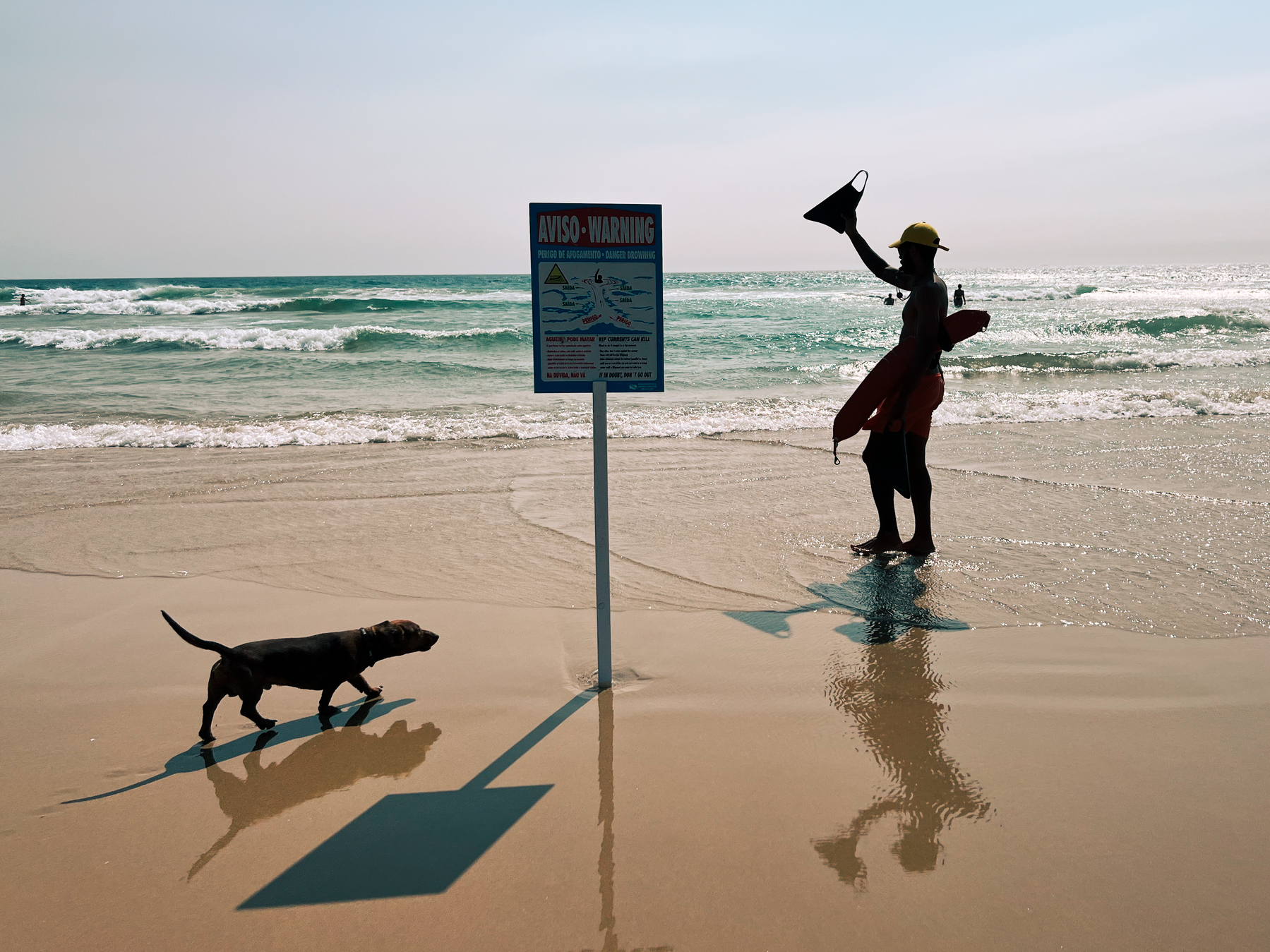 A lifeguard warns a swimmer (not in the photo), while a dog looks on. There’s a rip tide warning stuck in the sand. The sea in the back. 