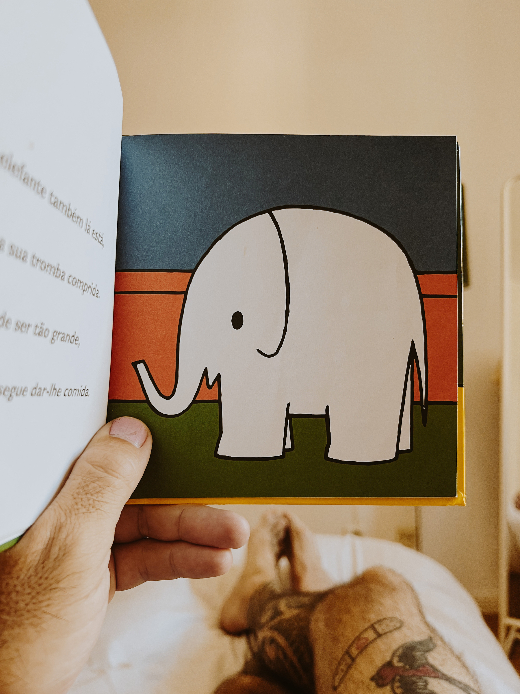 A book with an elephant, part of Dick Bruna’s Miffy series. 