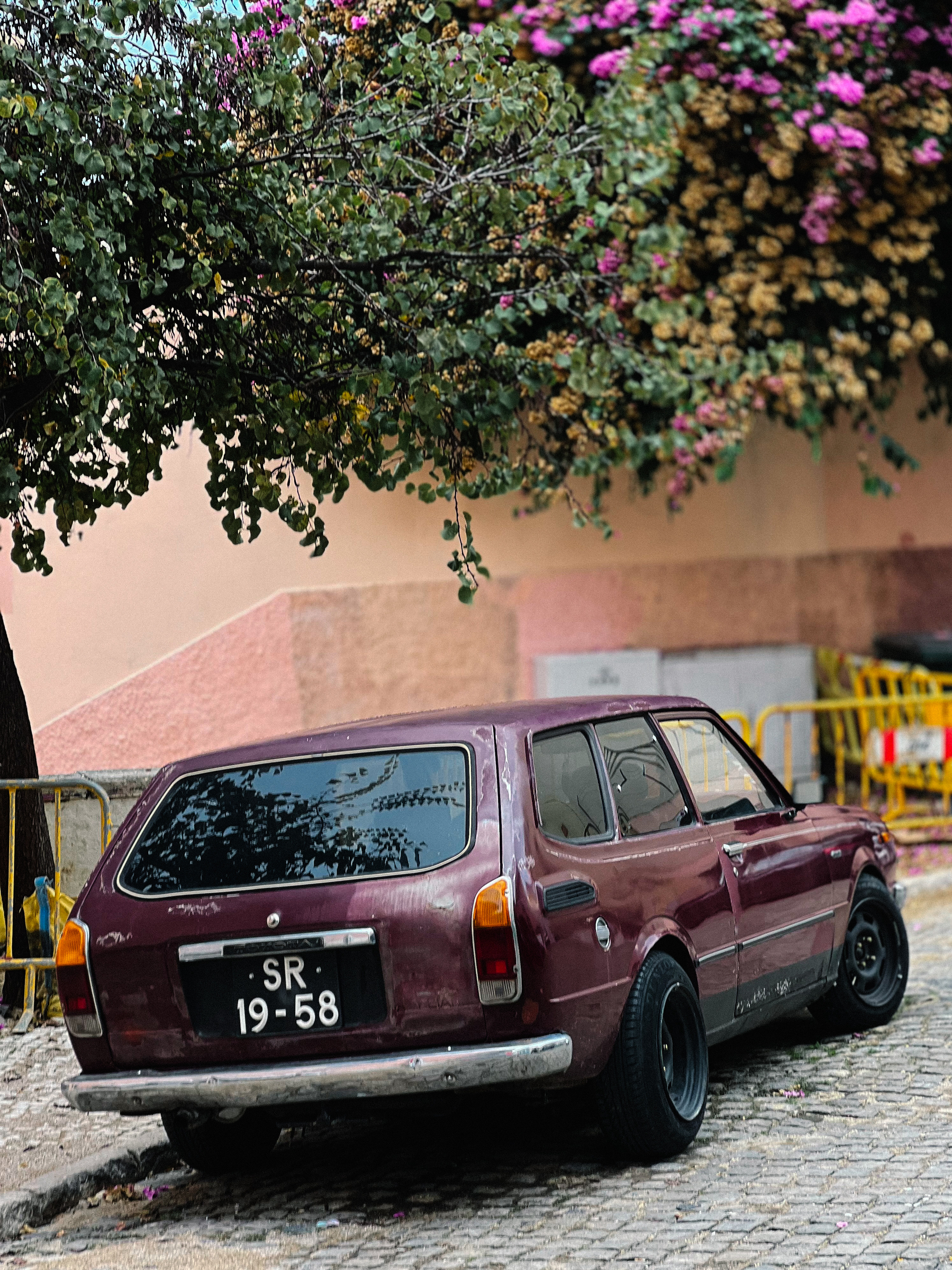 A dark purple car parked under a tree with purple flowers. 