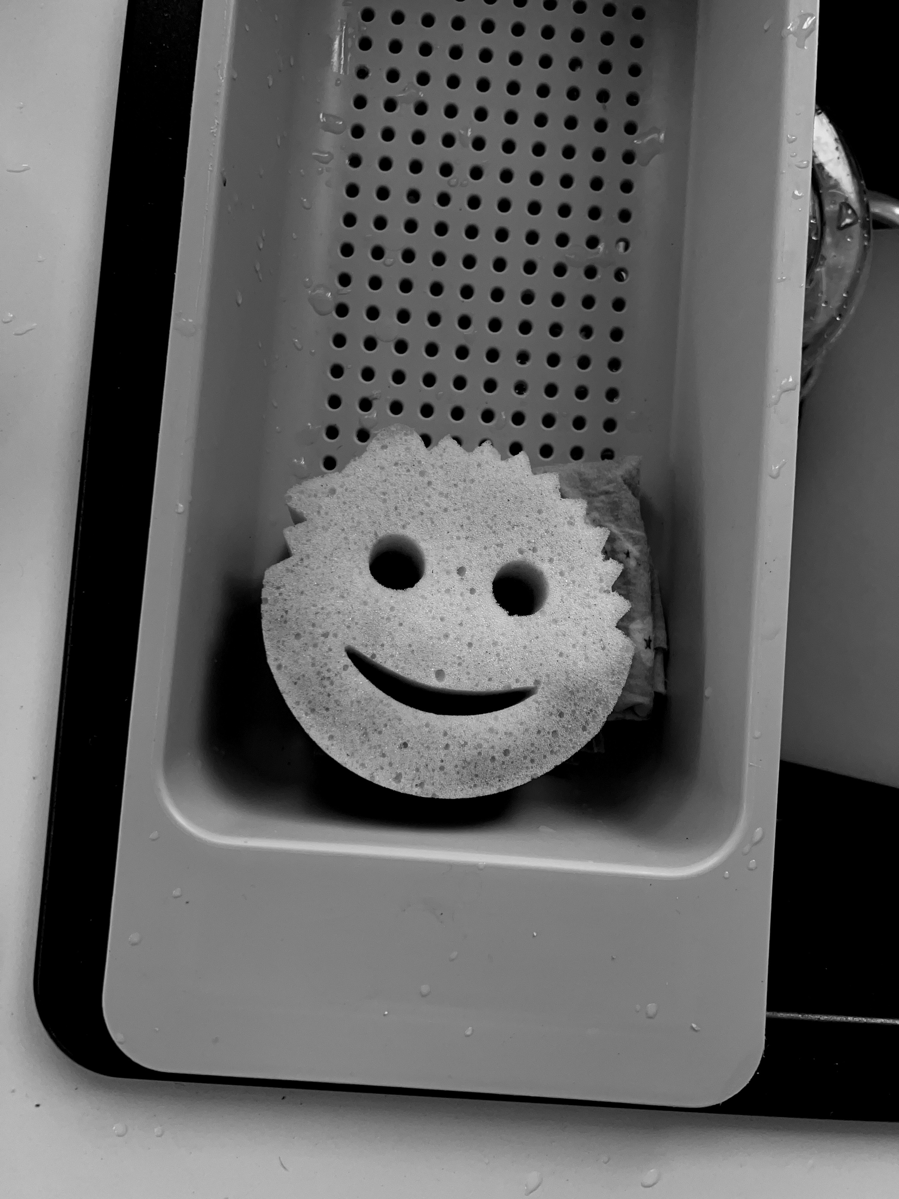 A sponge that looks like a face. 