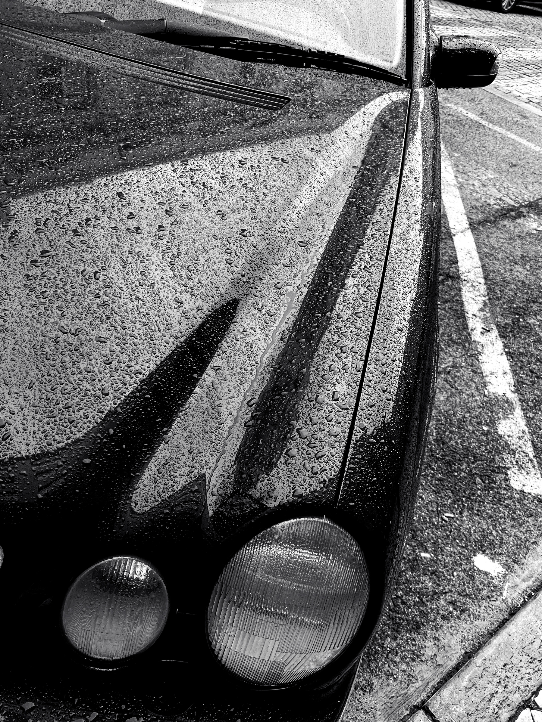 black and white photo of raindrops on the hood of a car.