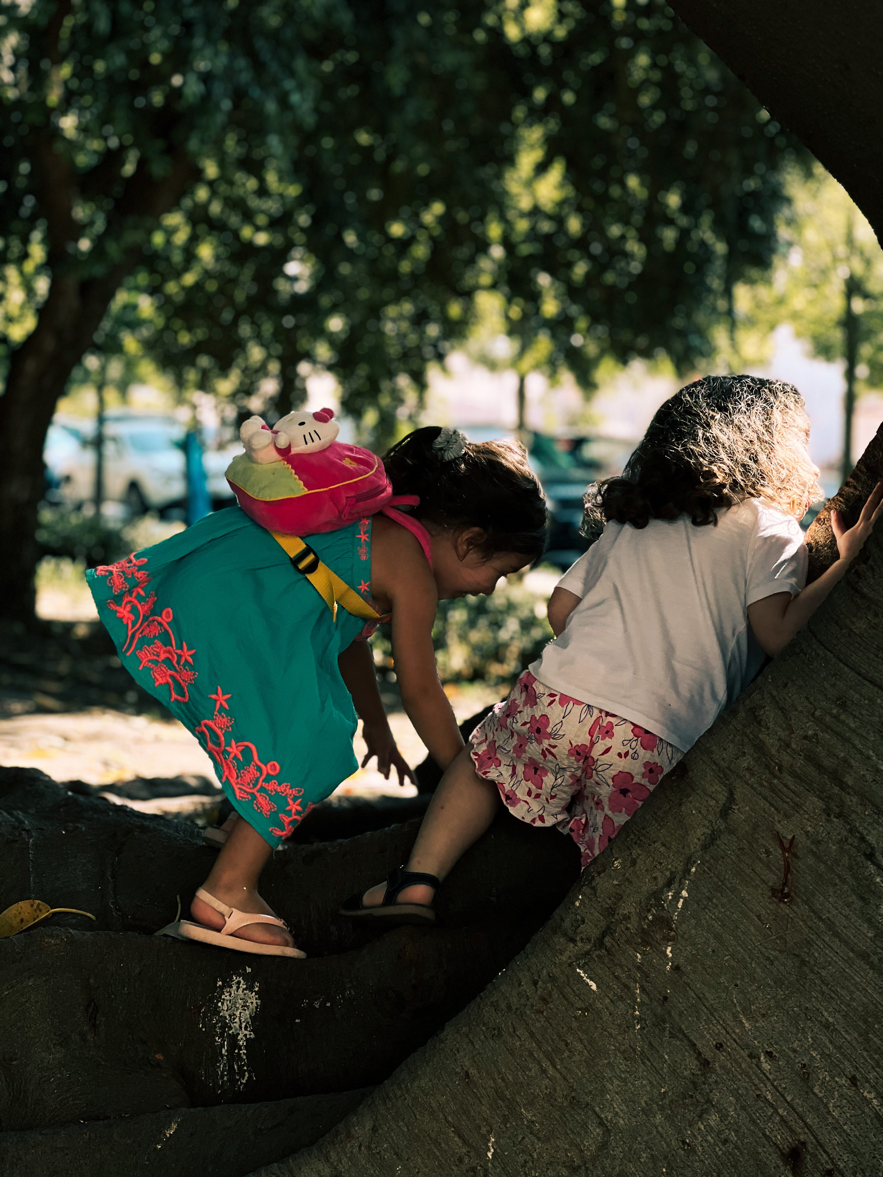 Two girls play on a tree. 
