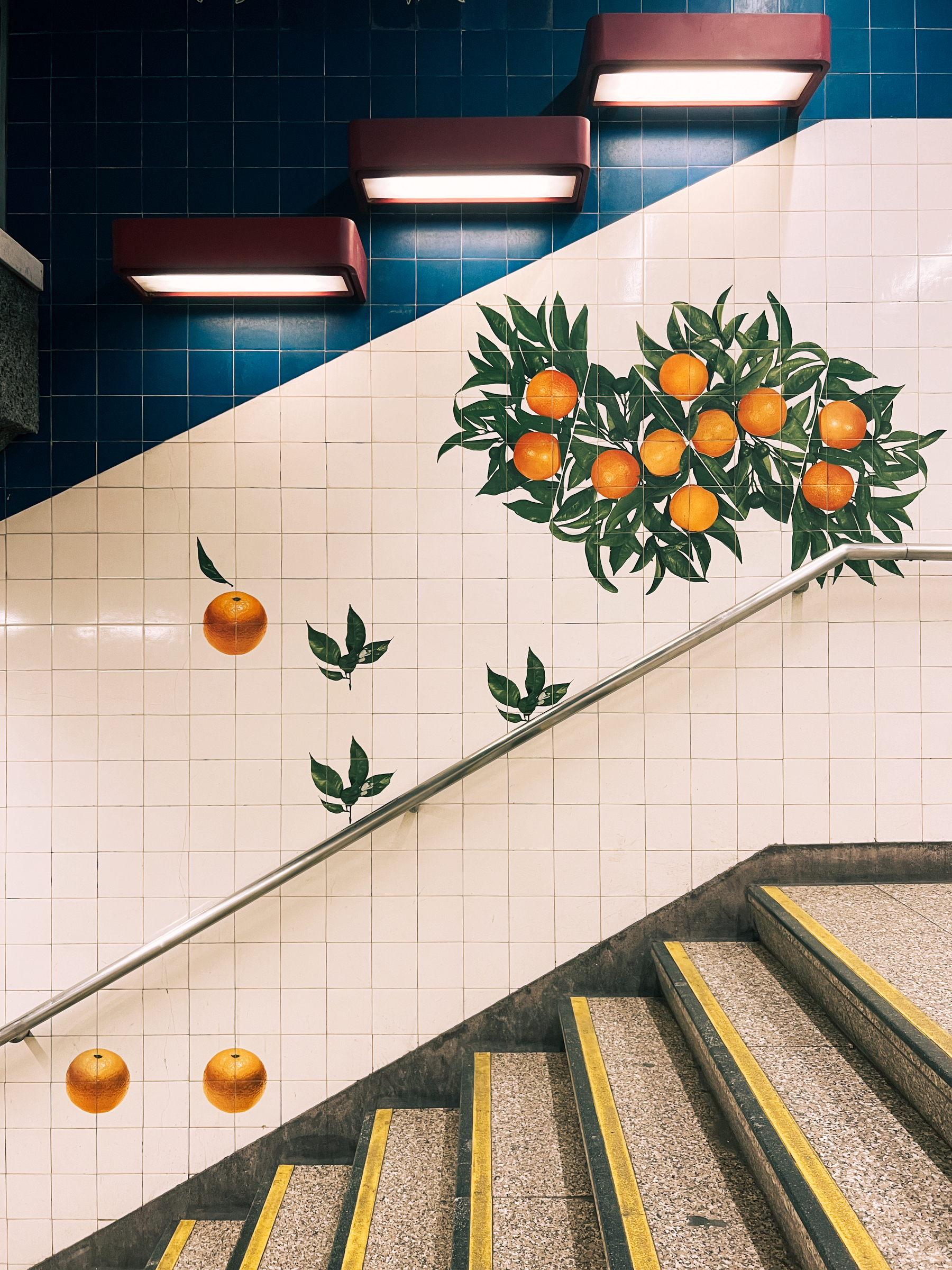 Stairway with oranges painted on tiles.