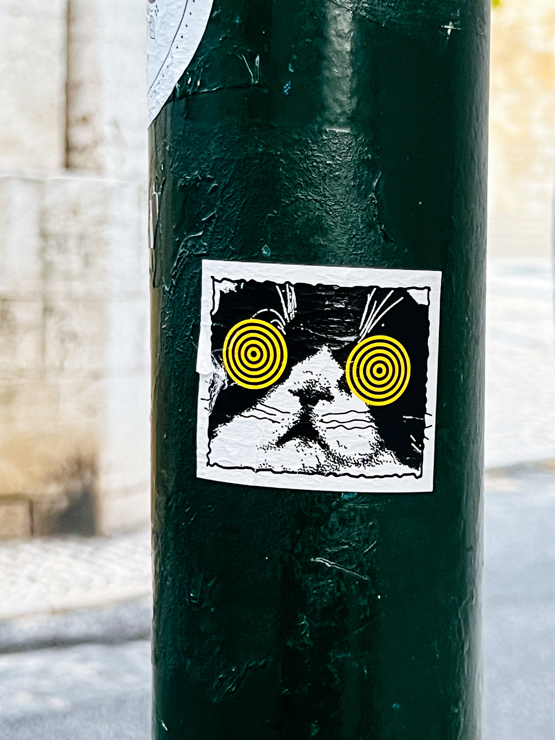 A cat with hypnotist eyes. A sticker. 