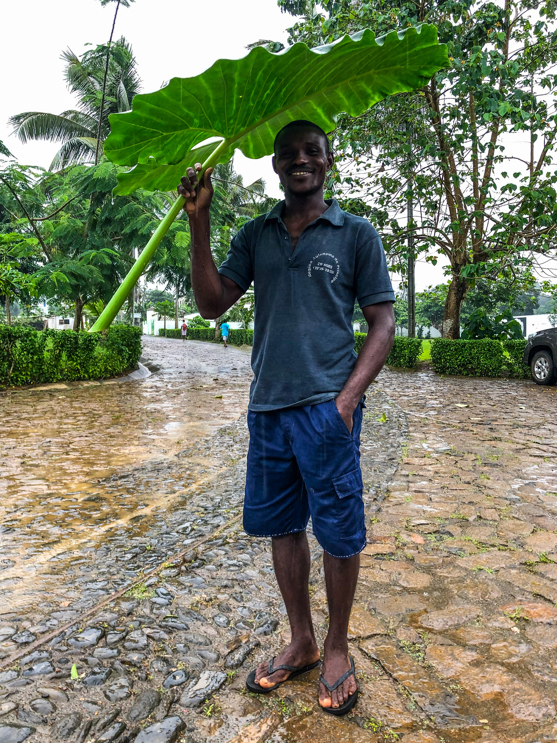 A man stands on a cobblestone path smiling, holding a large green leaf over his head like an umbrella. It appears to be raining, and there are trees and a vehicle in the background.